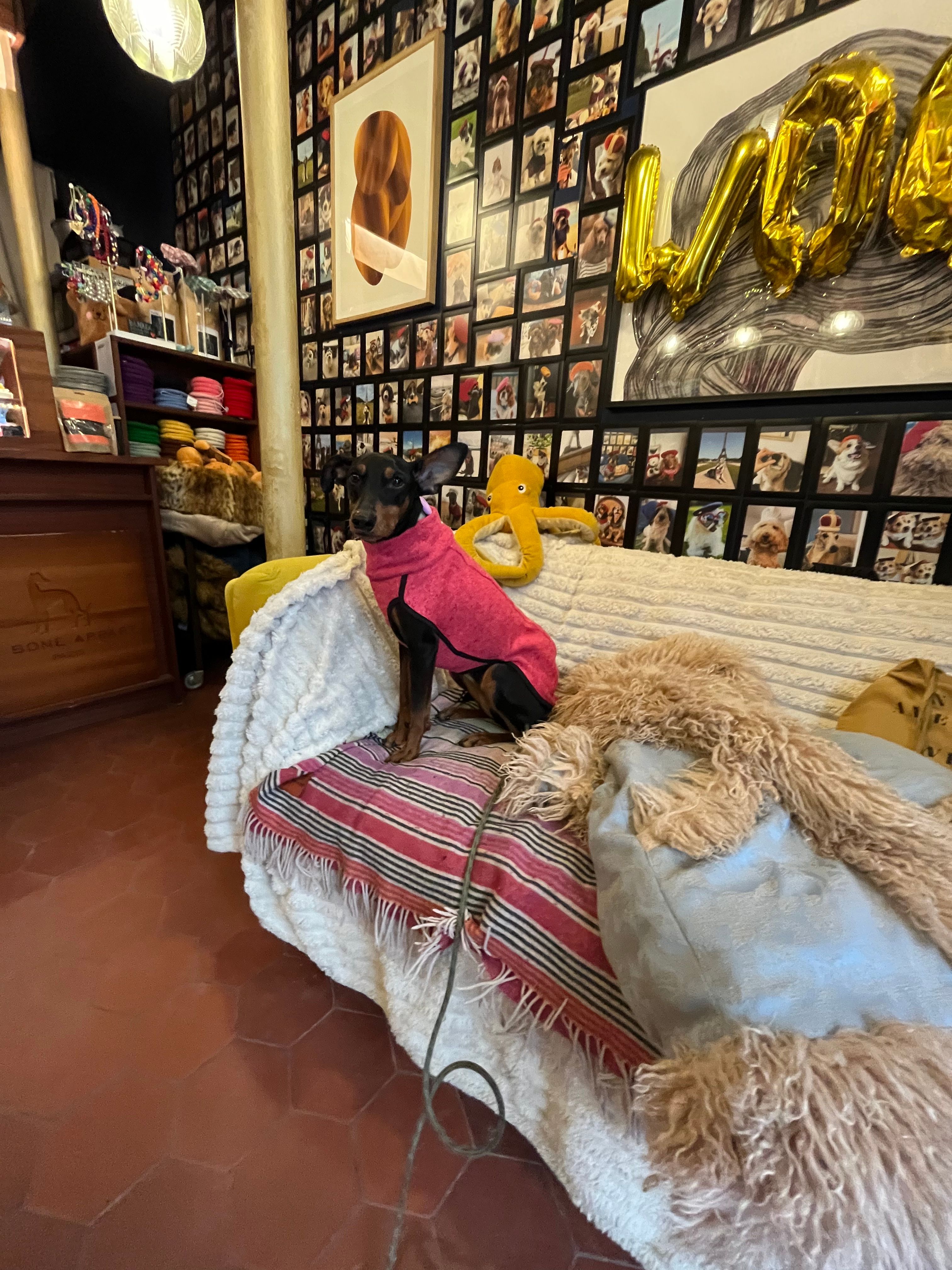 image-13