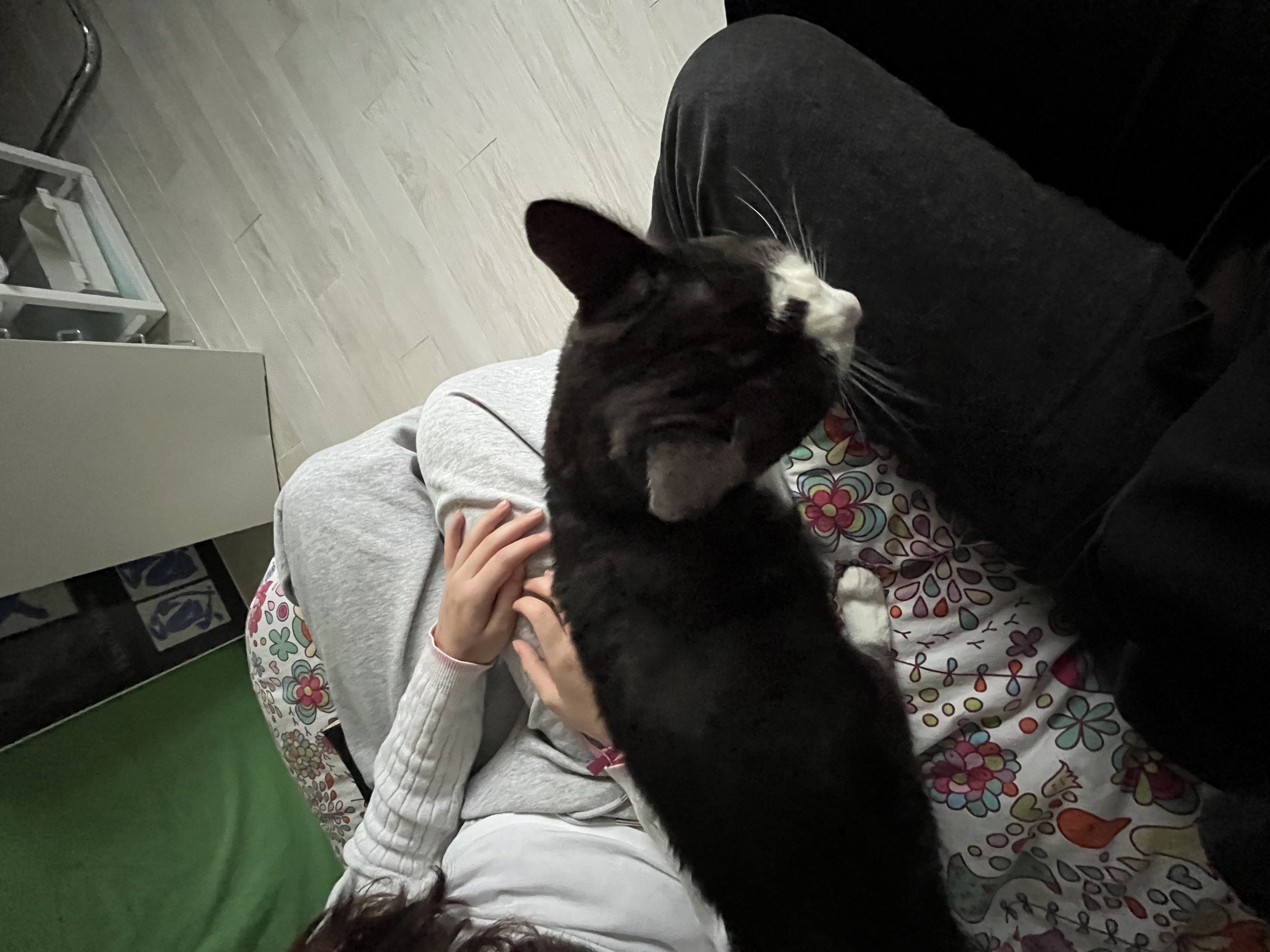 image-12