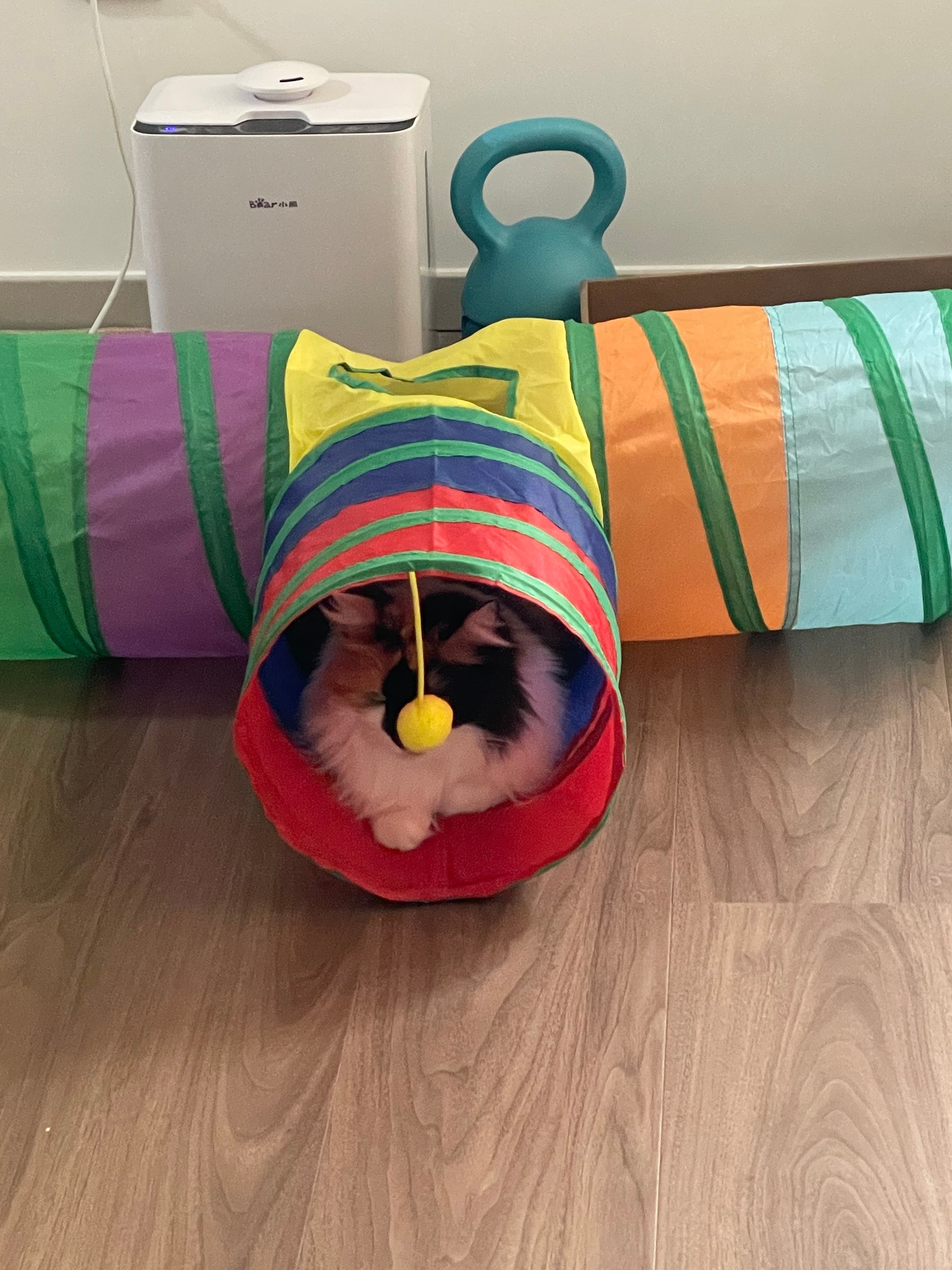 image-9