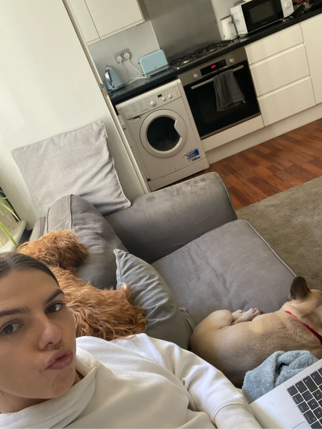 image-7