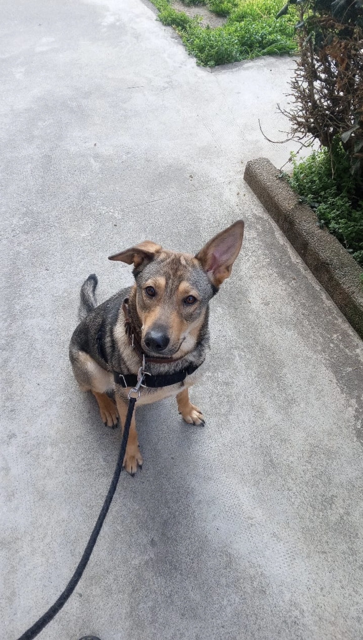 image-6