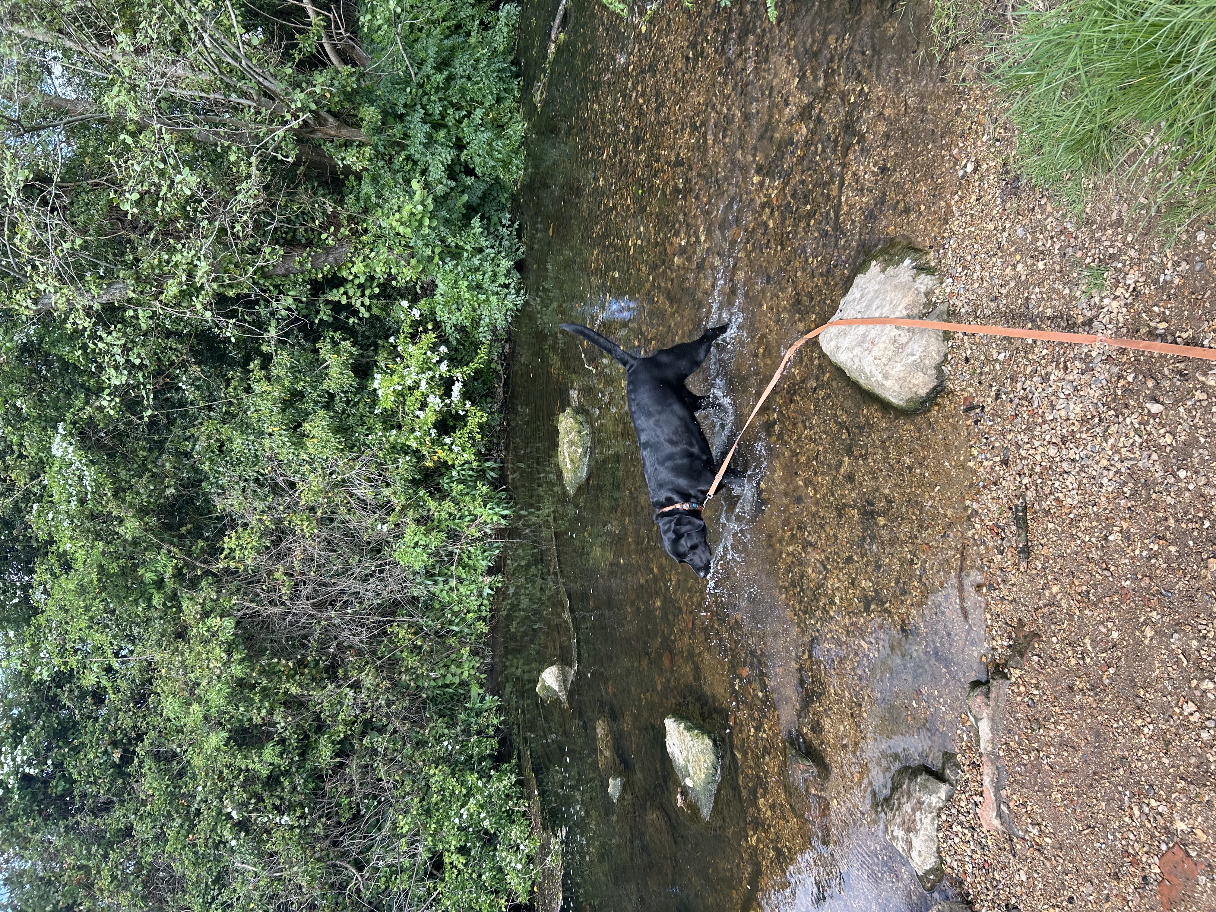 image-14