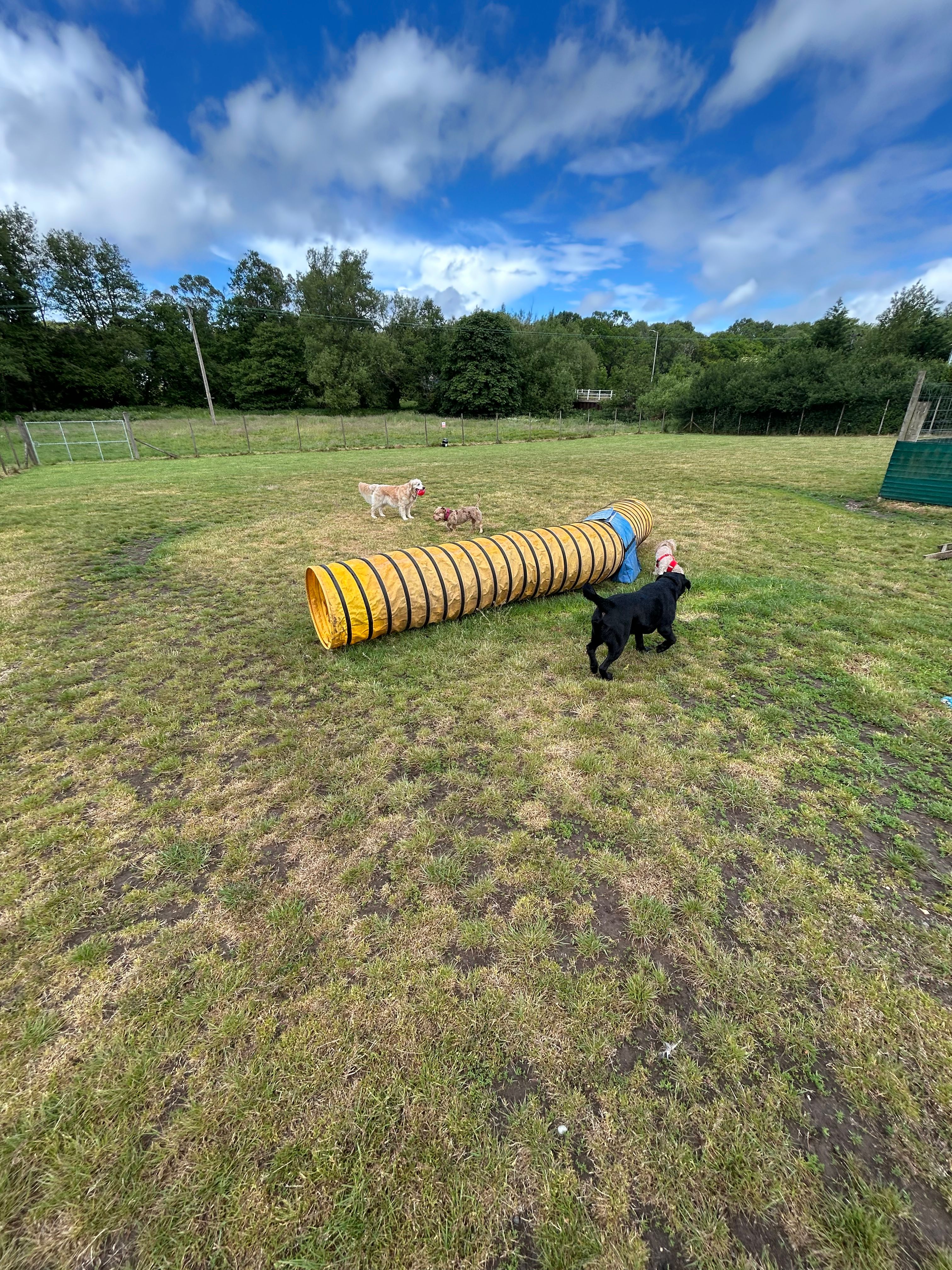 image-9