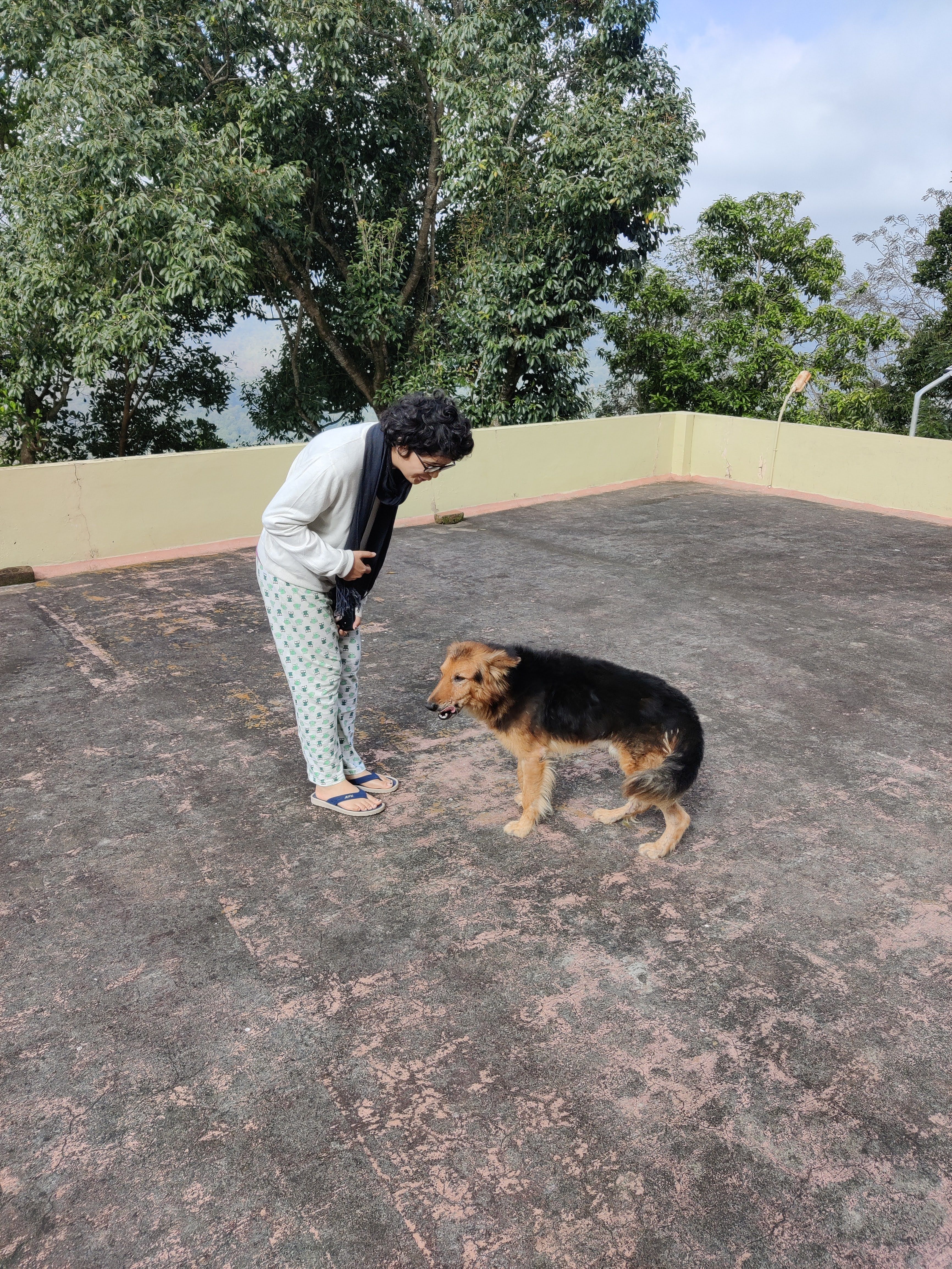 image-5