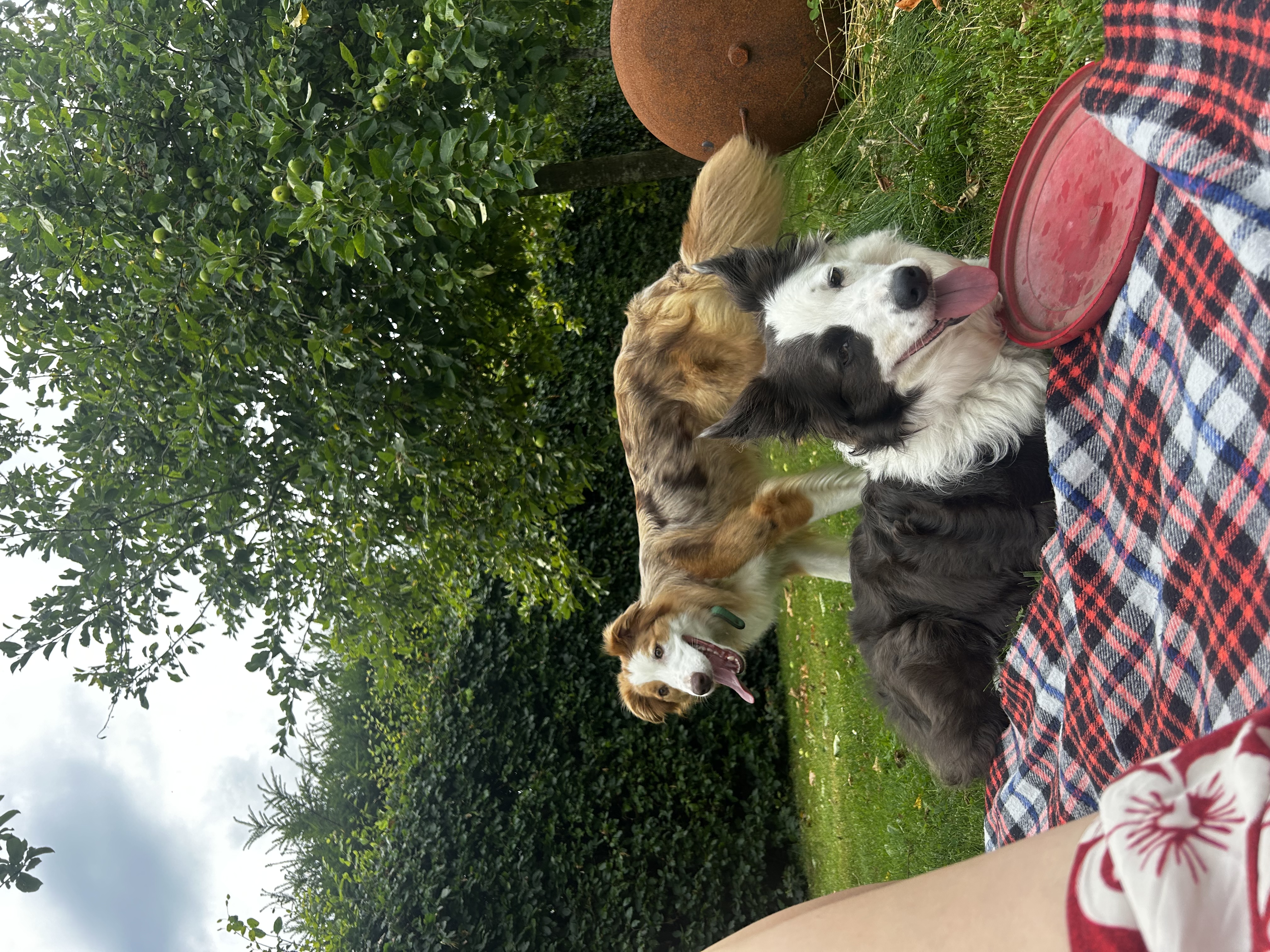 image-8