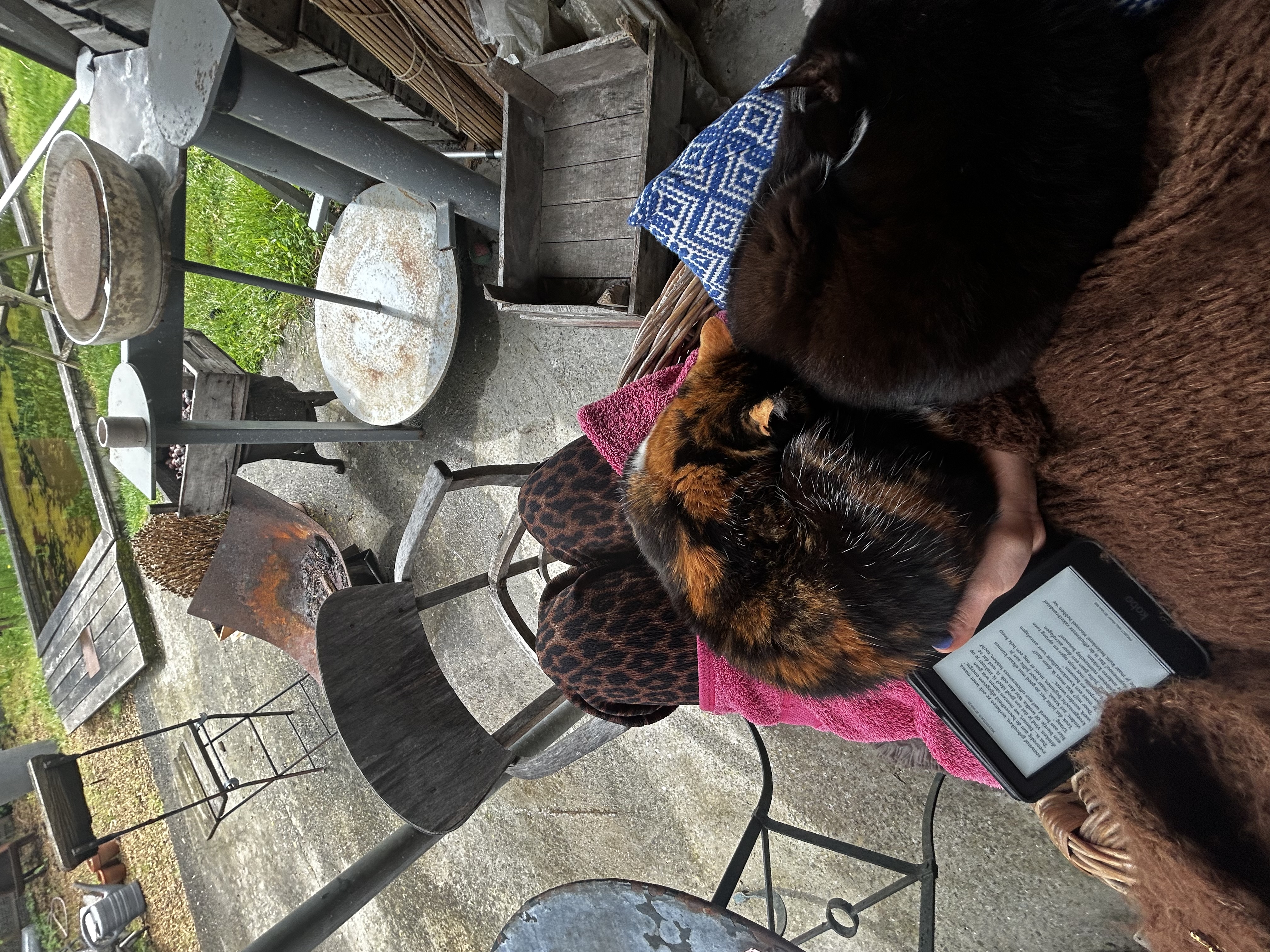 image-12