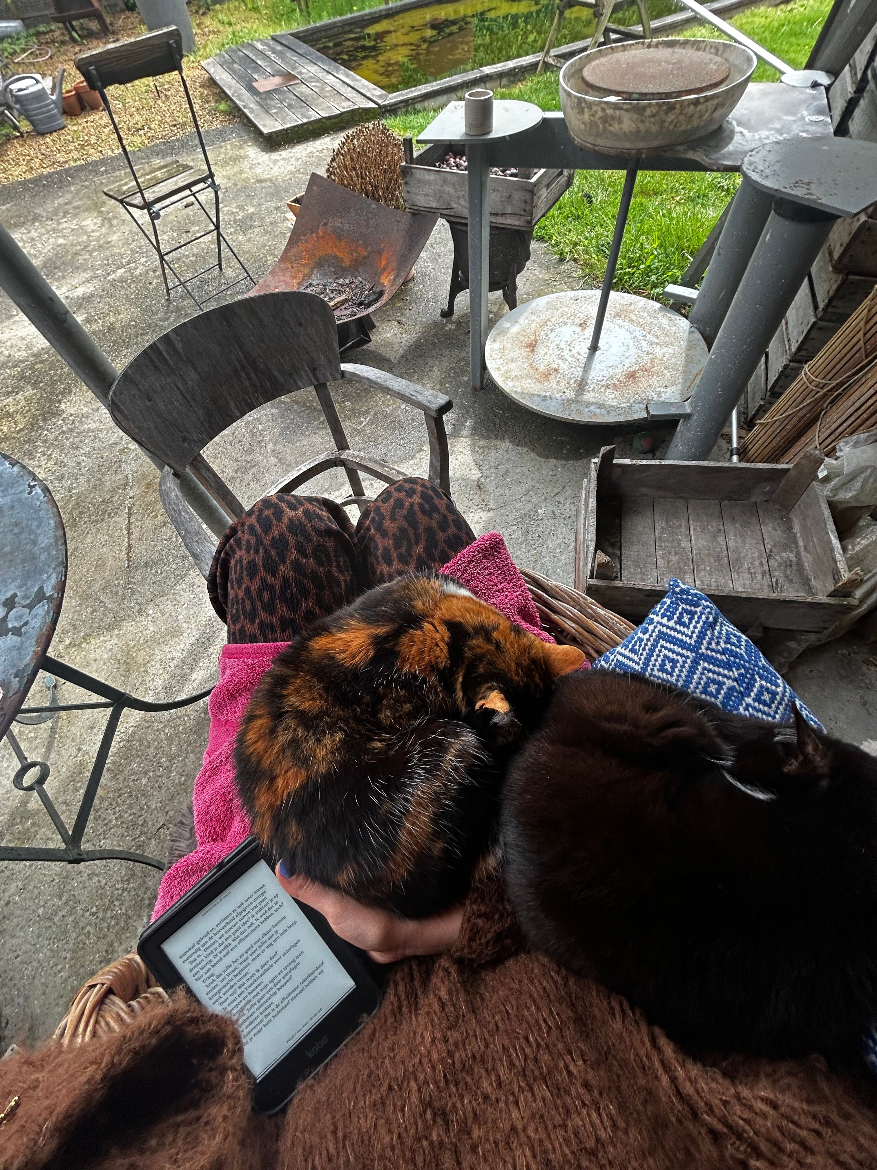 image-12