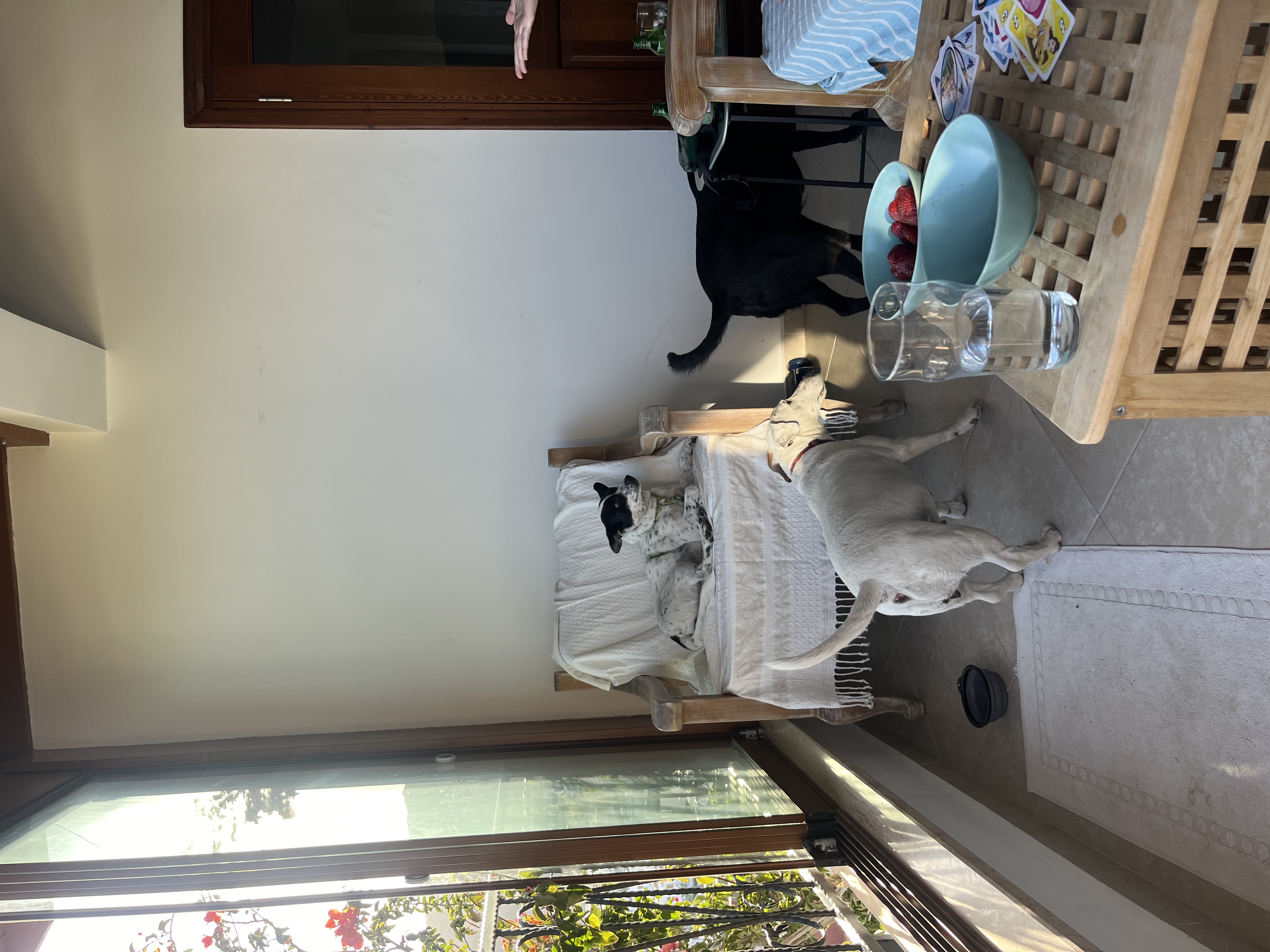 image-6