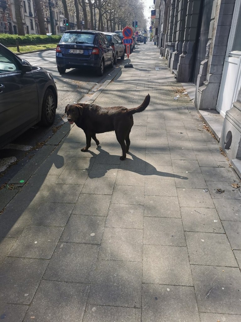 image-15