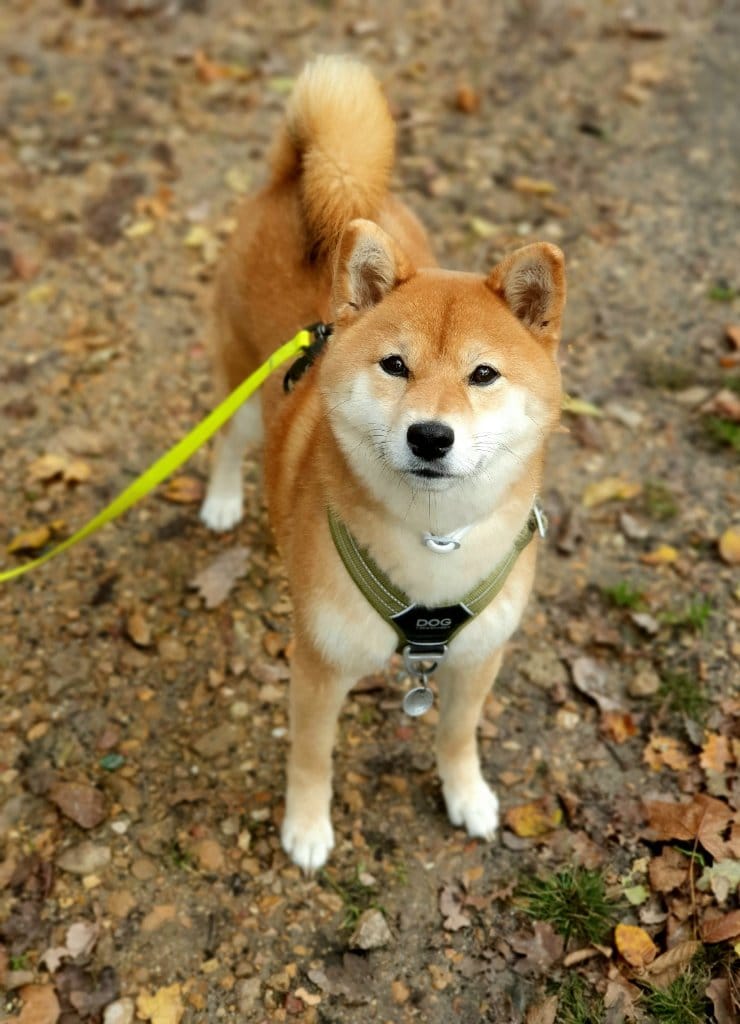 image-3