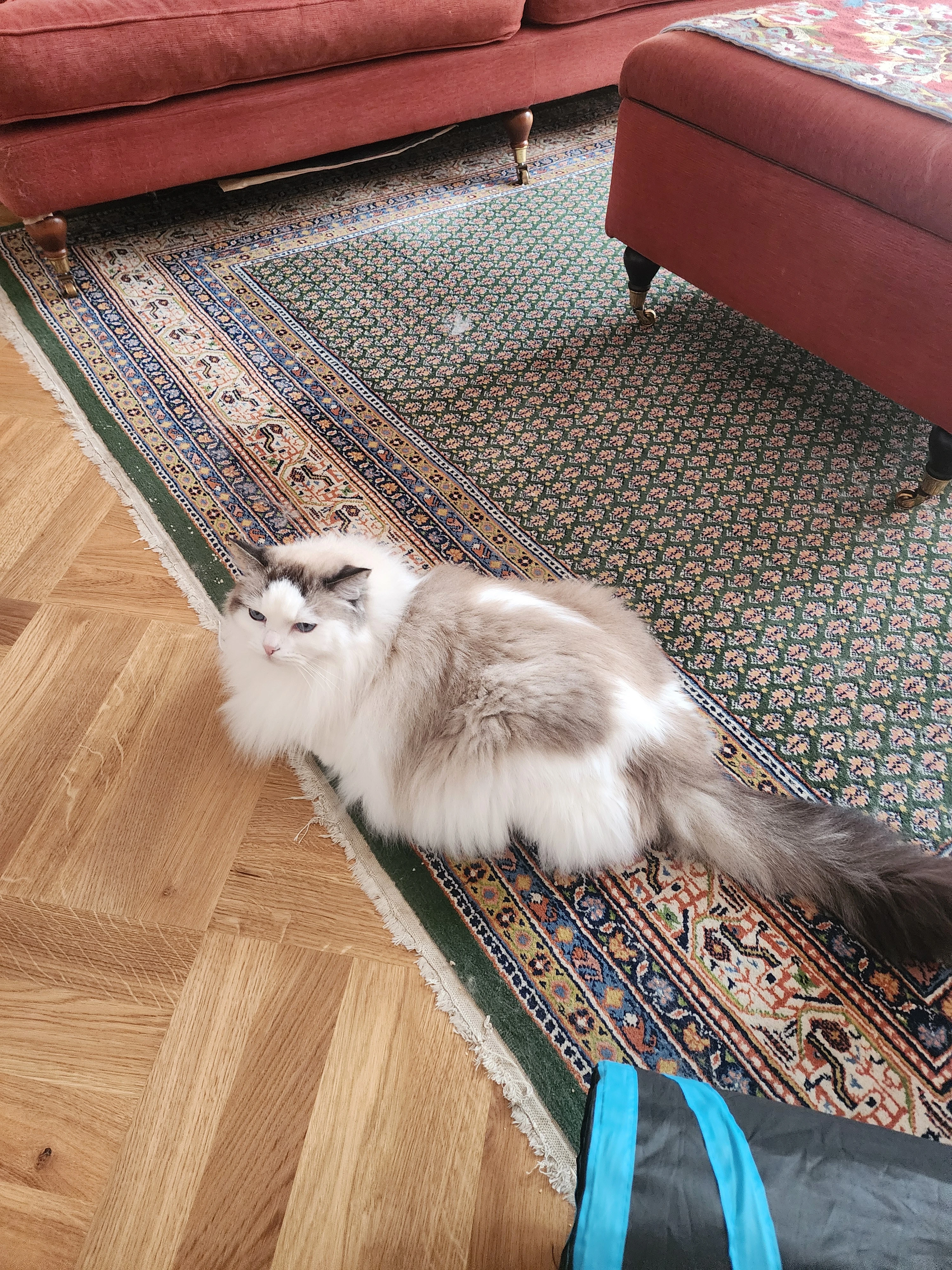 image-5