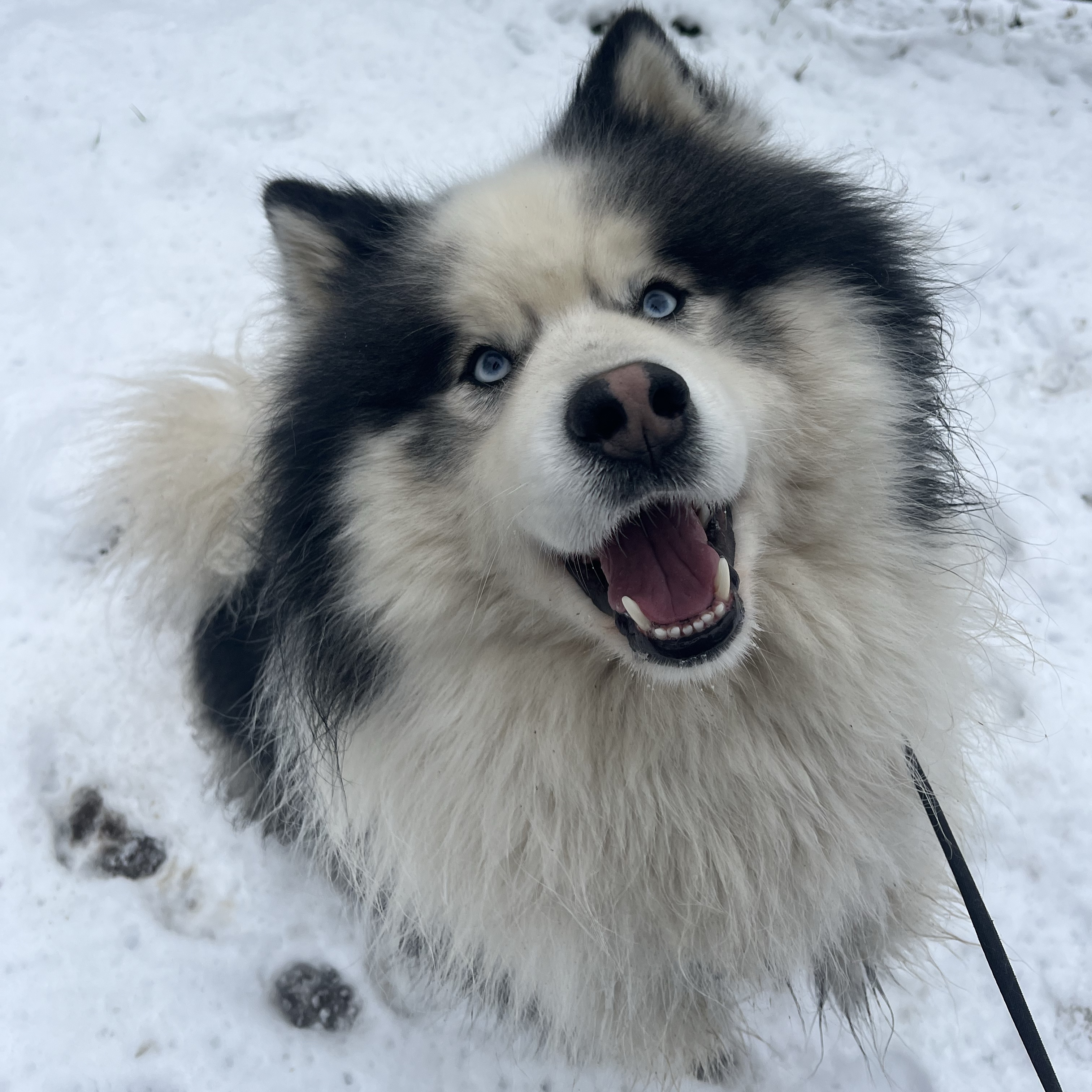 Kyro