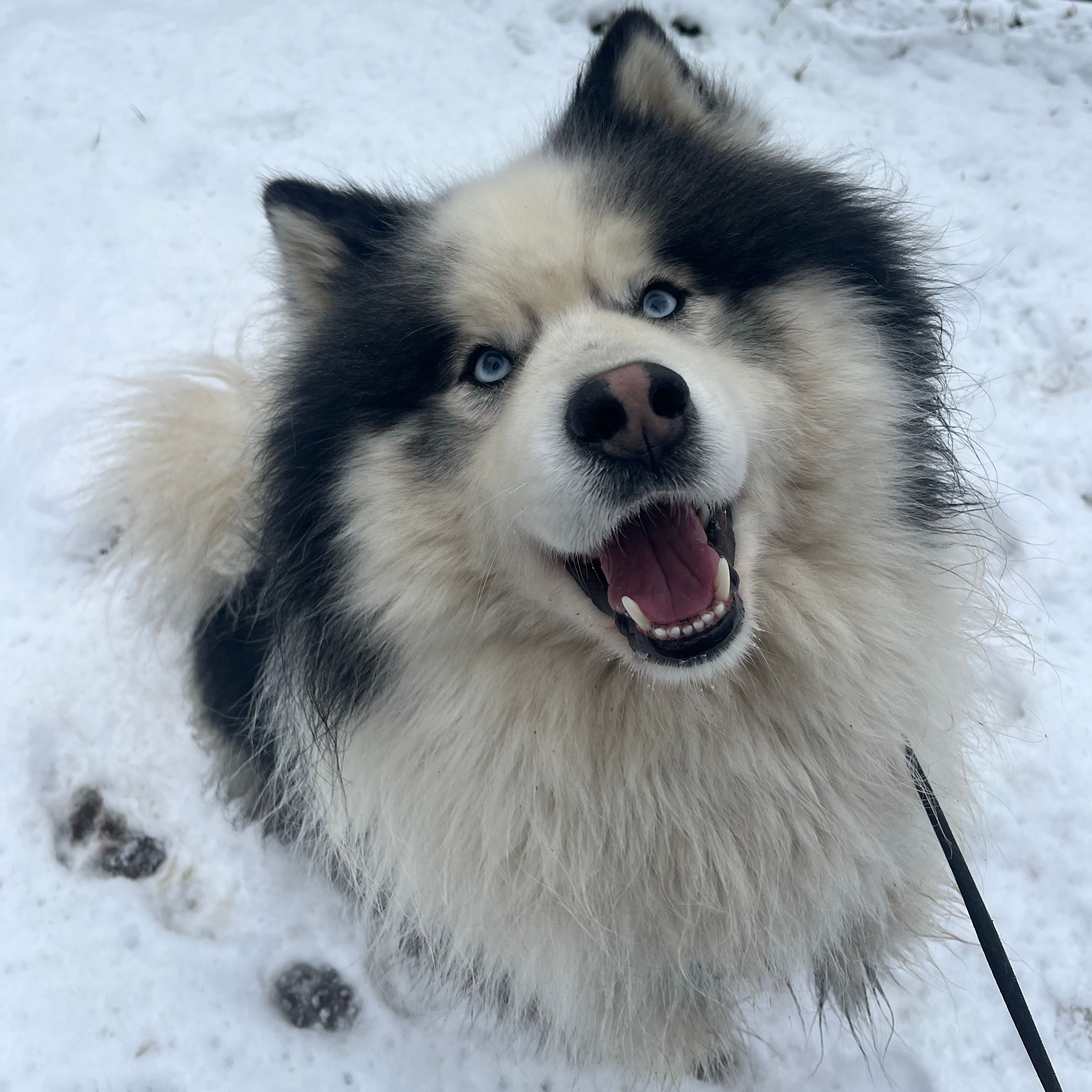 Kyro