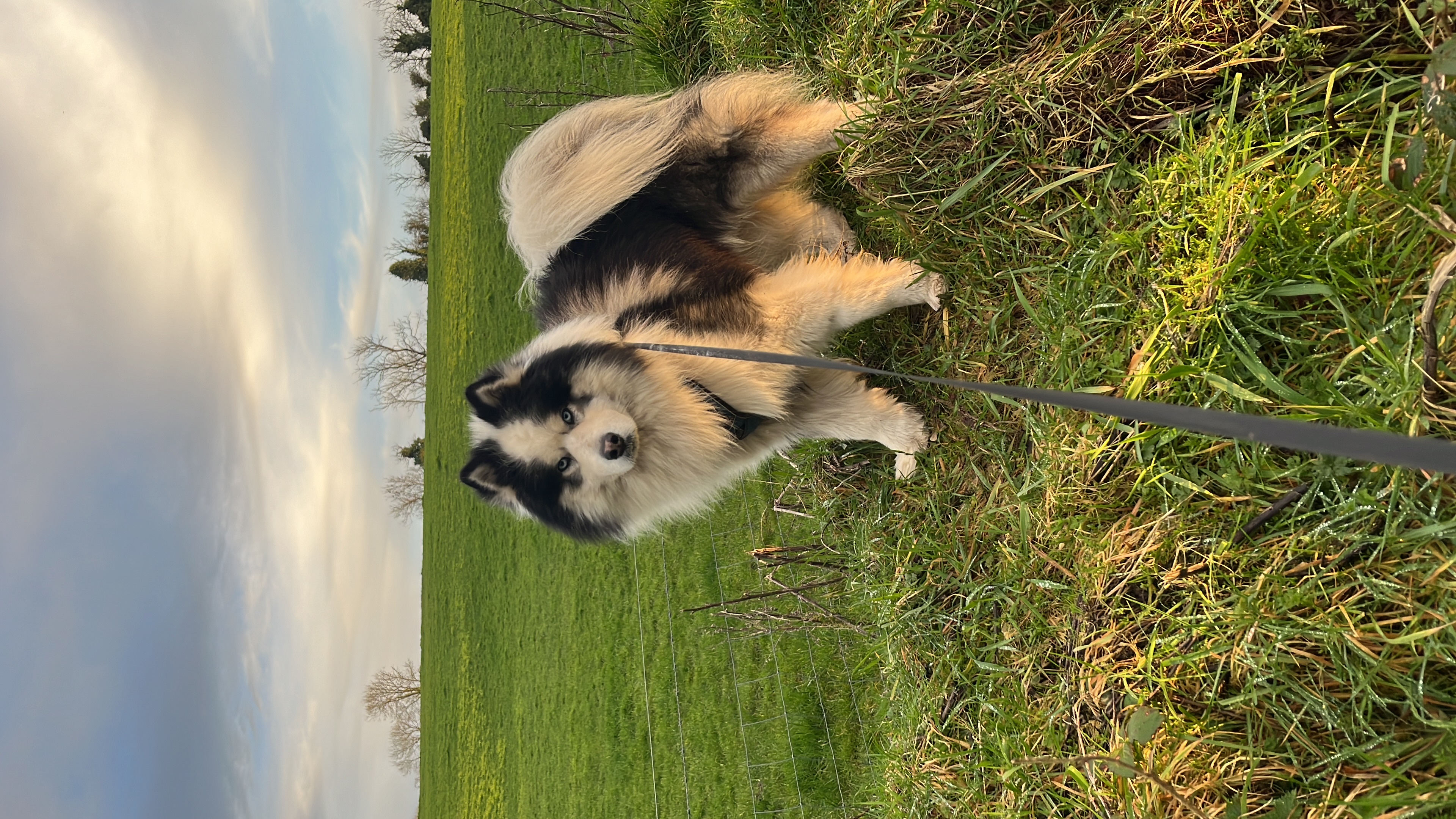image-6