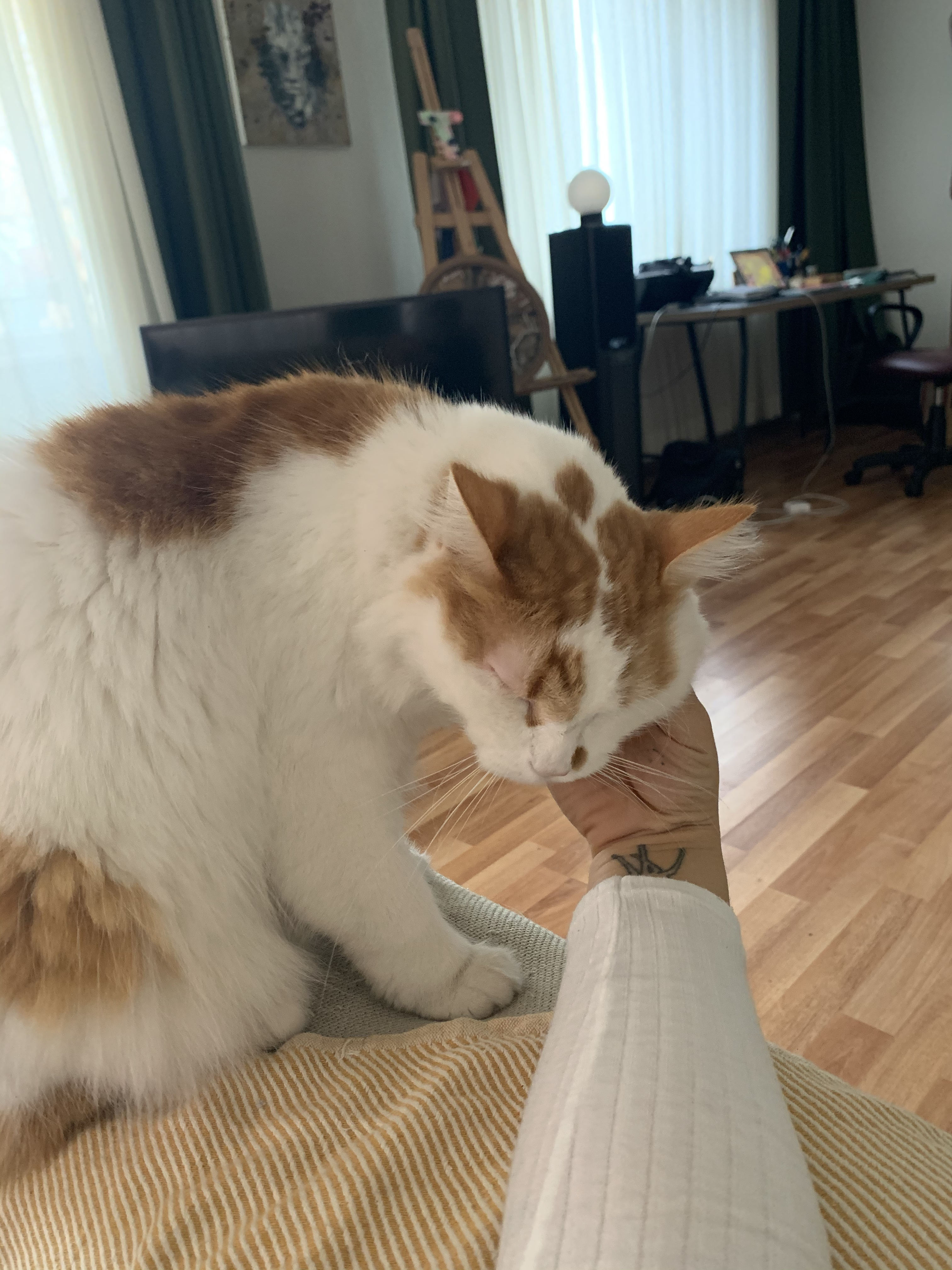 image-13