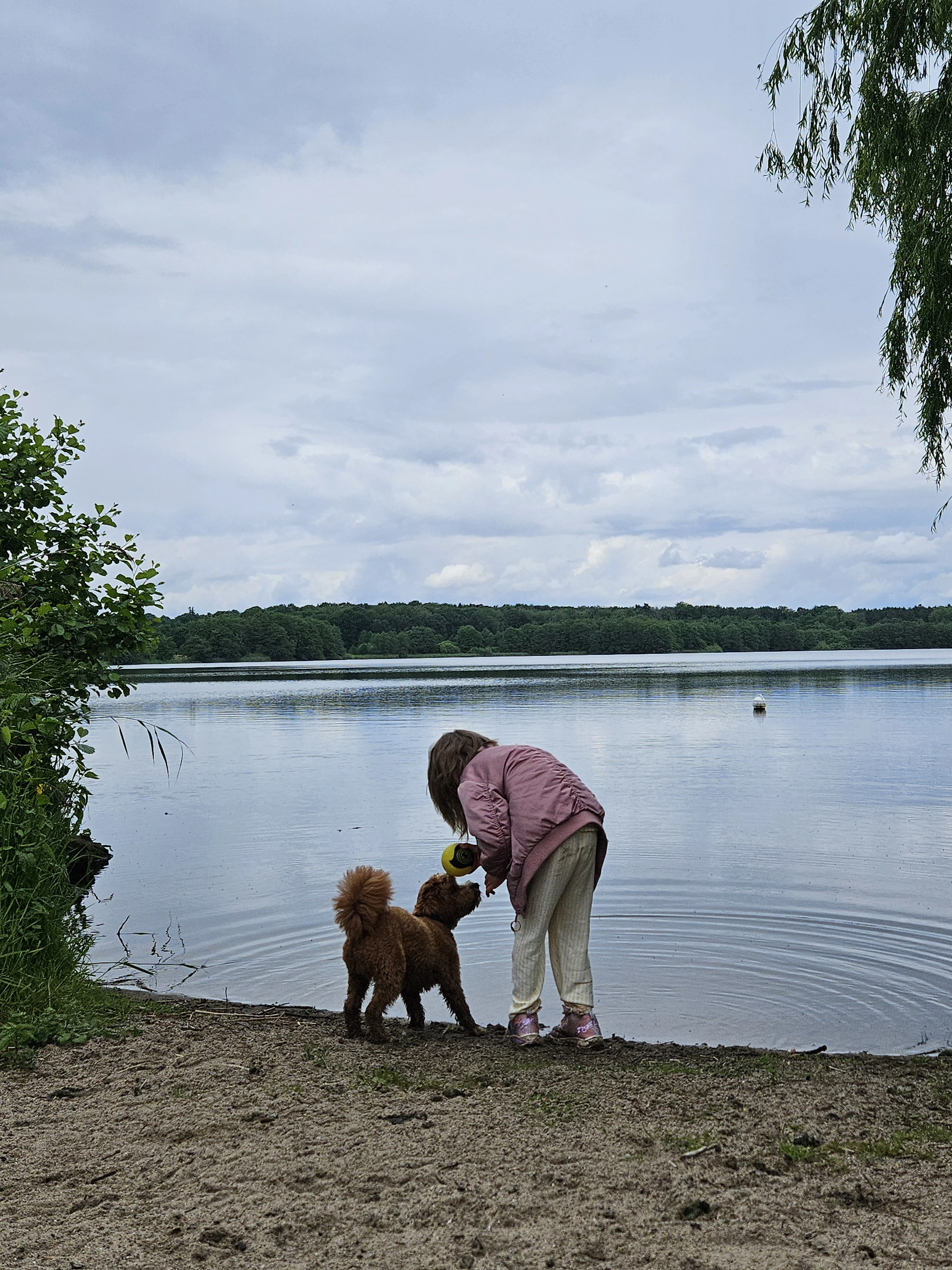 image-9
