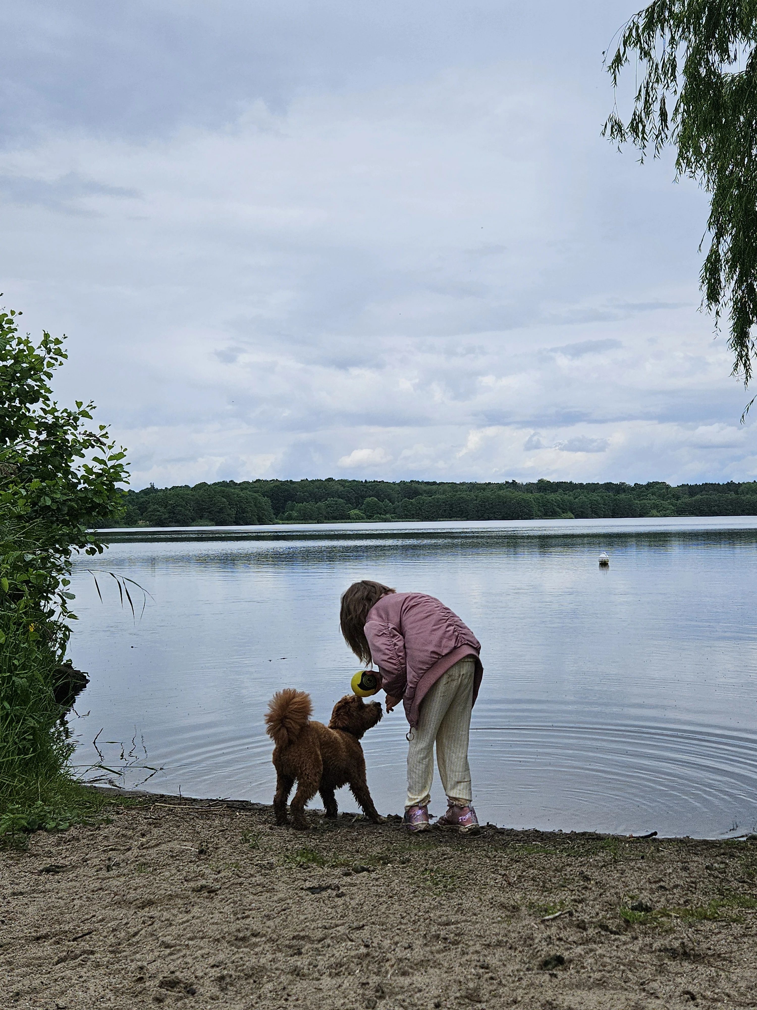 image-9