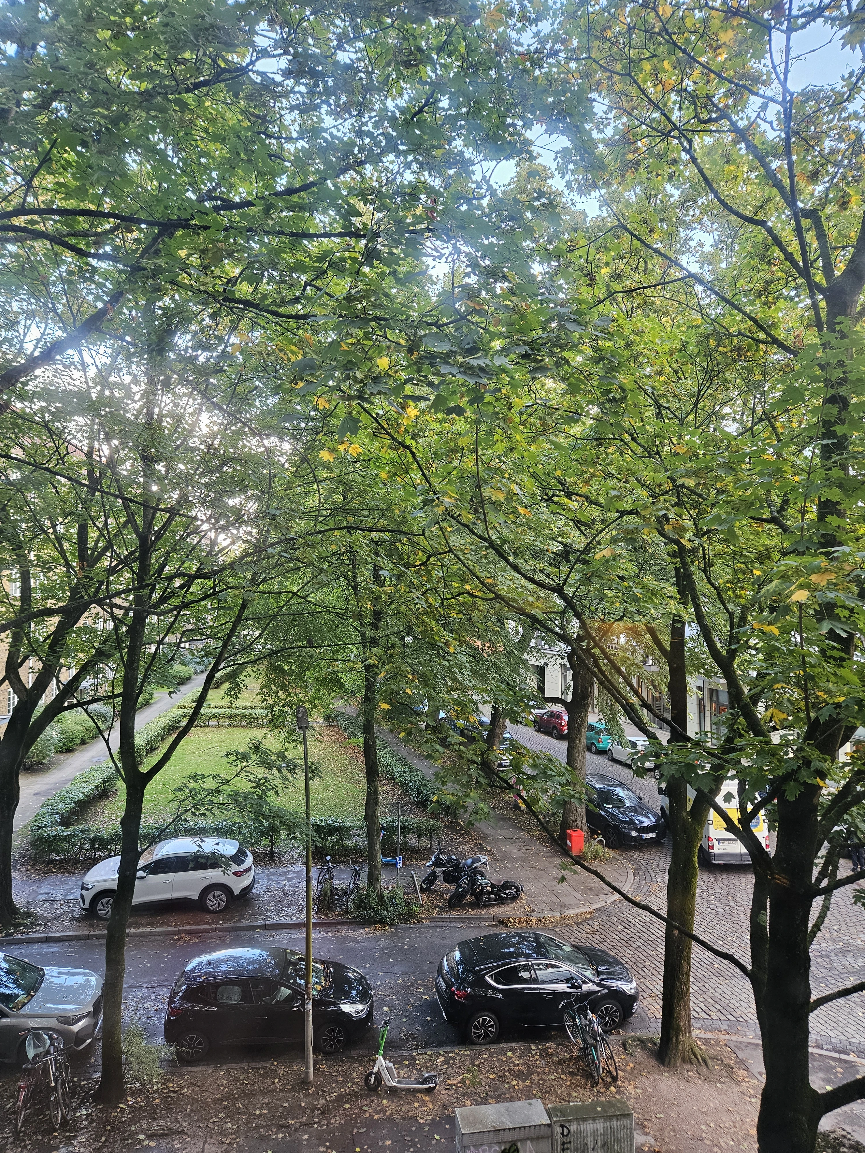 image-17