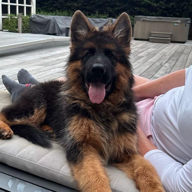 Zeus