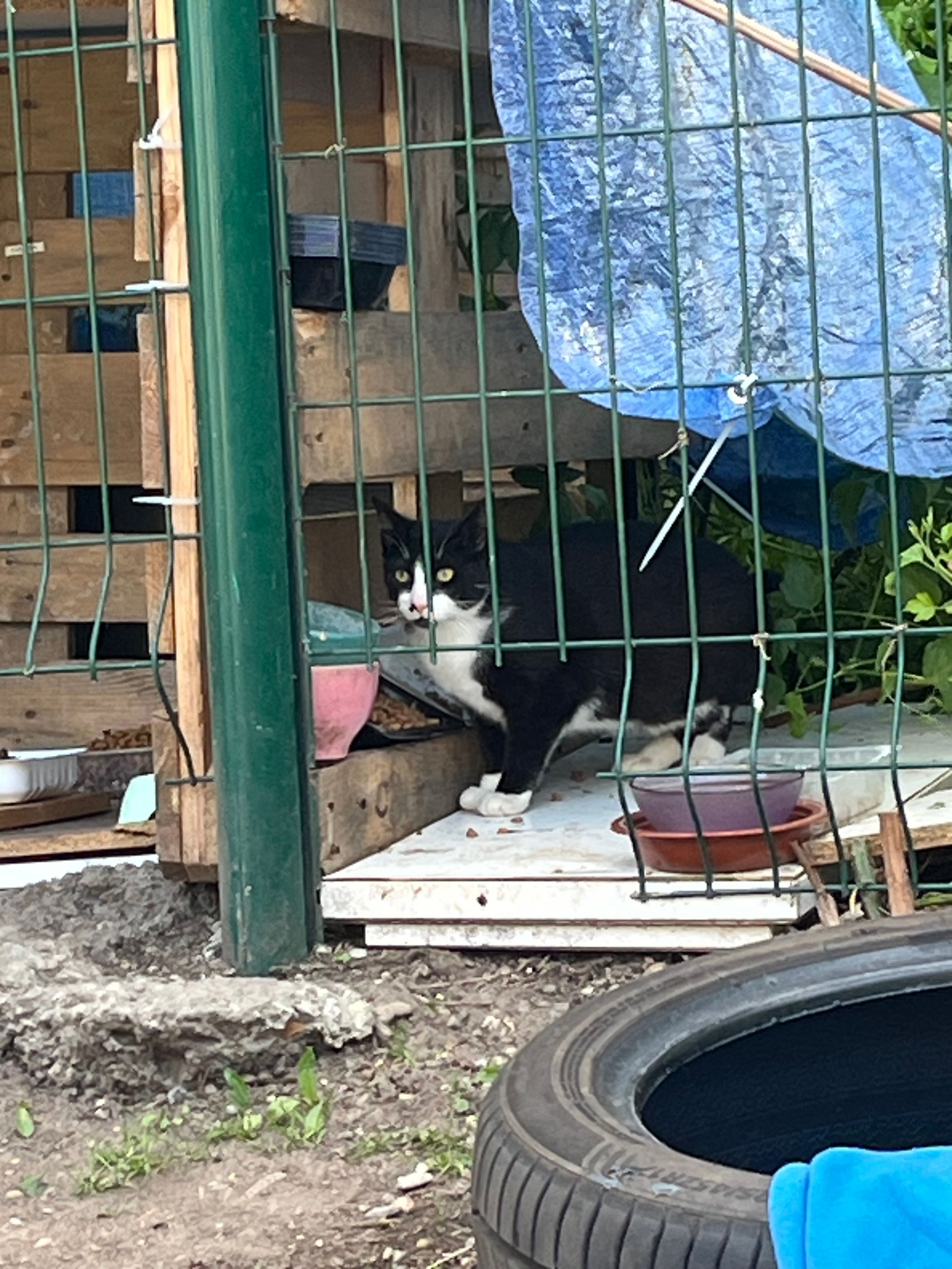 image-12
