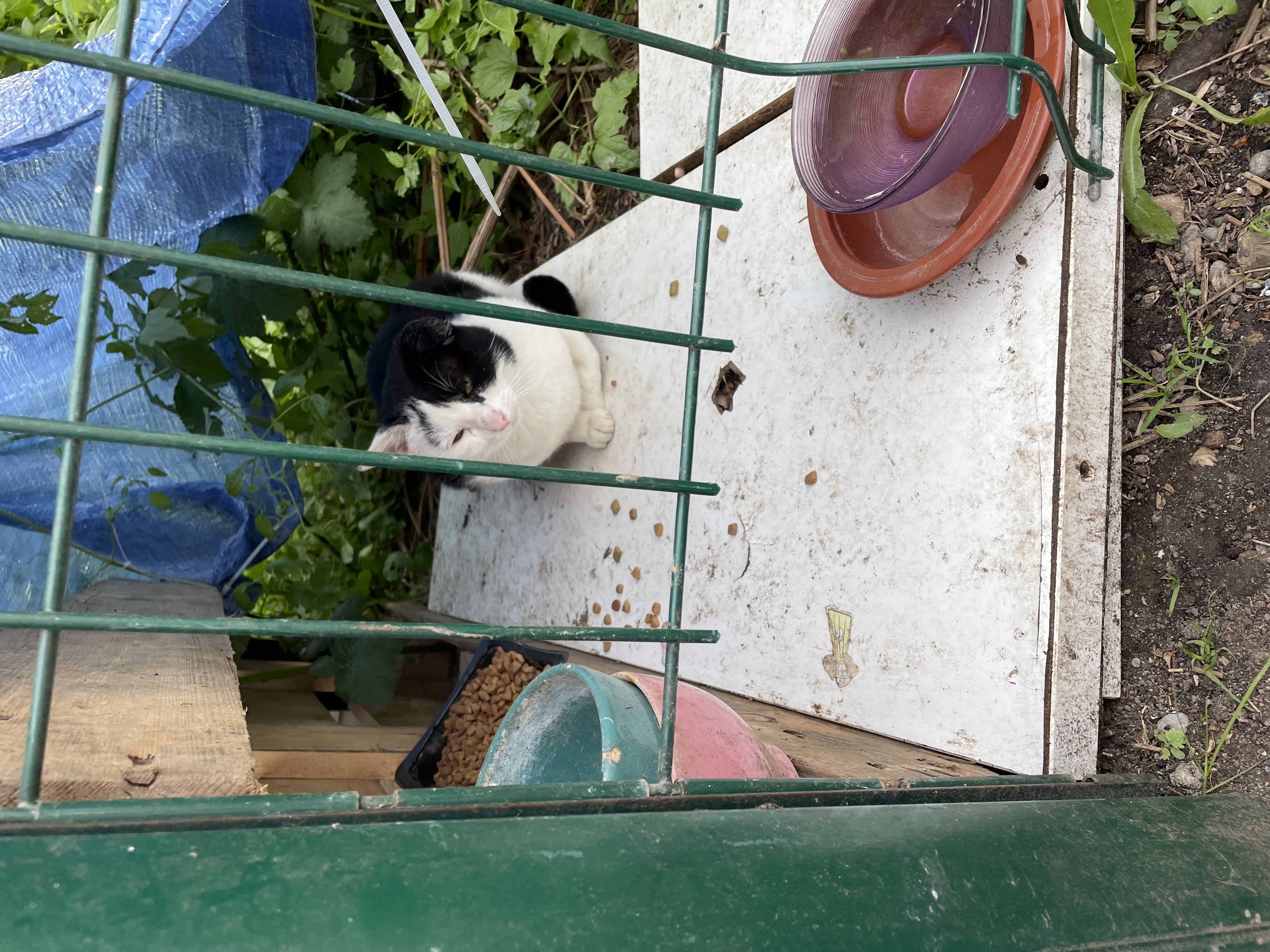 image-8