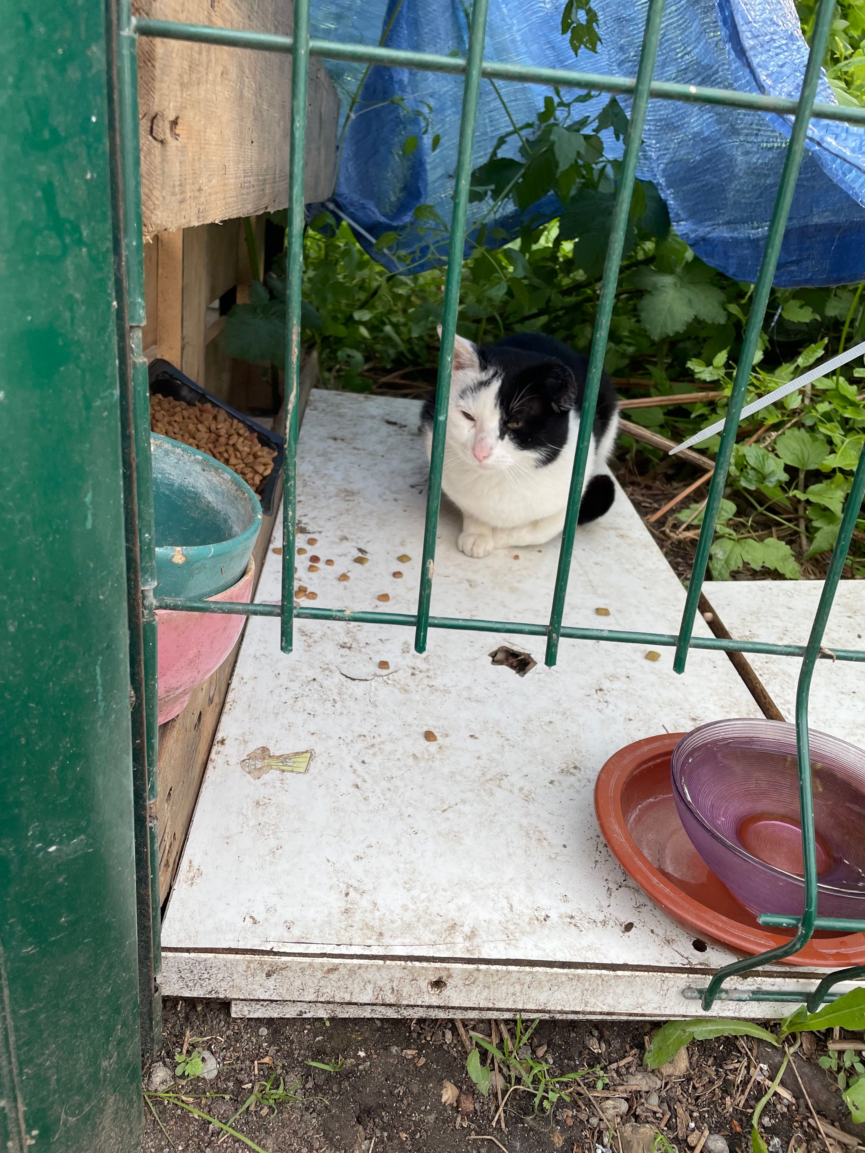 image-8