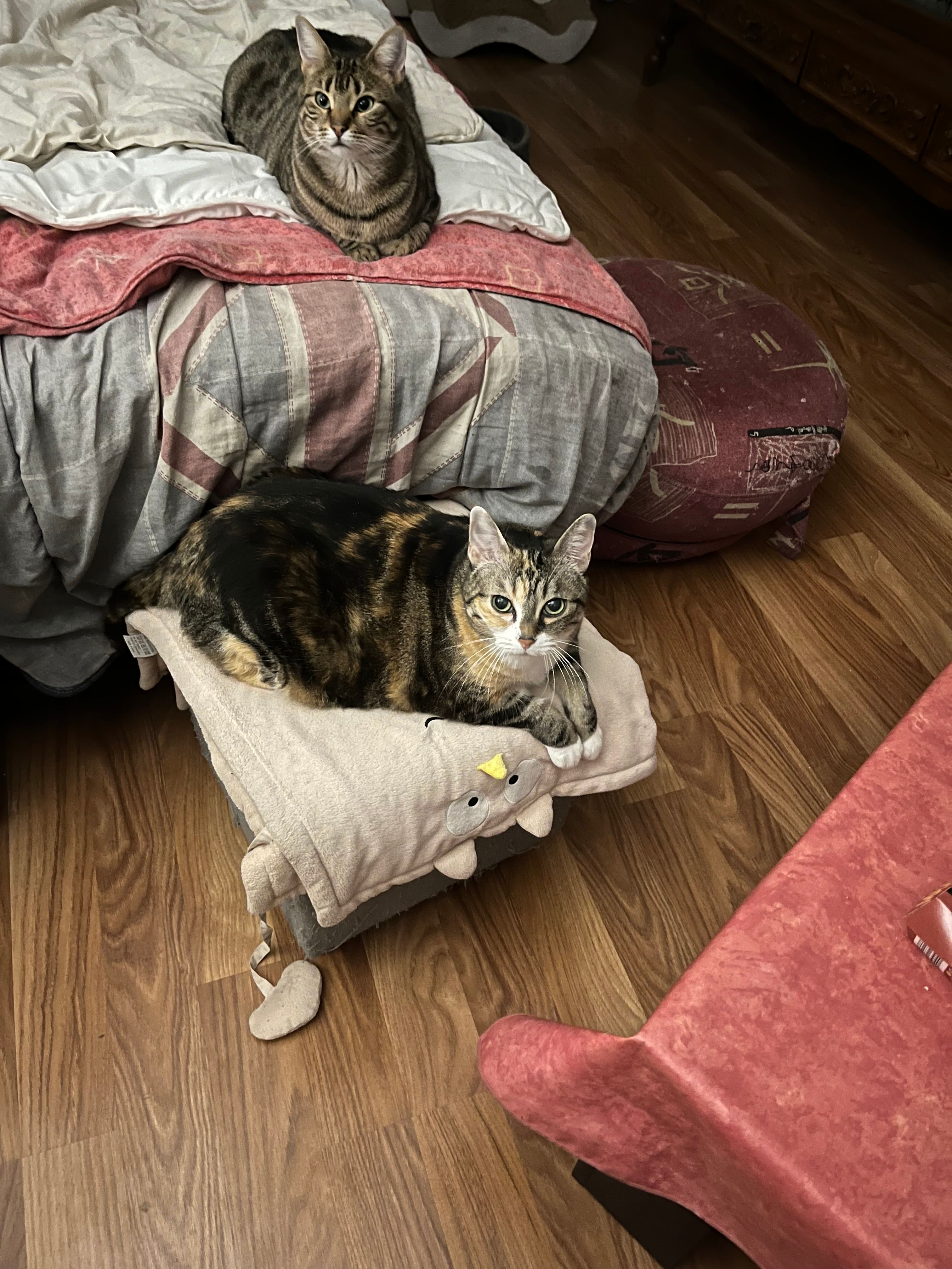 image-17