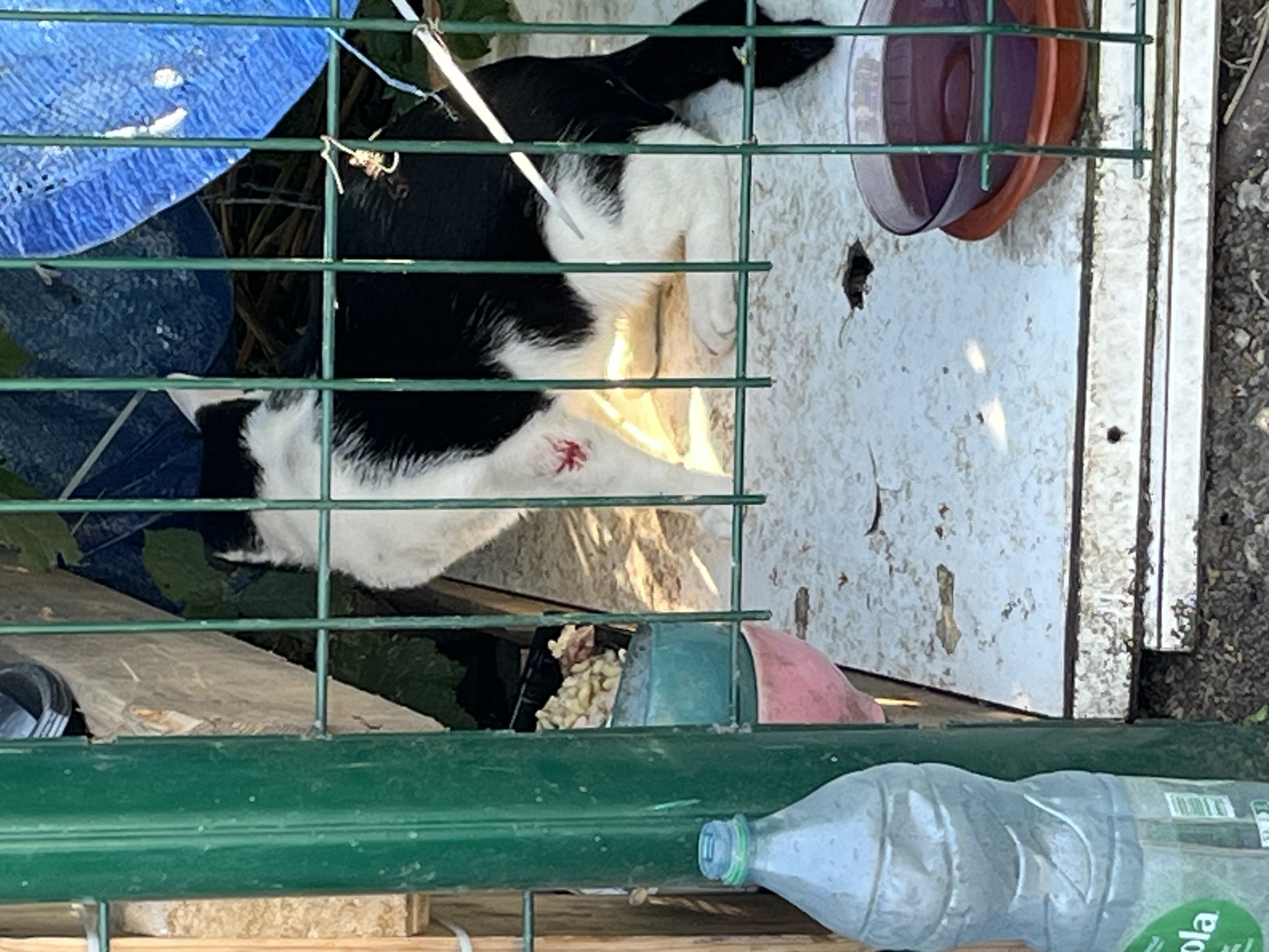 image-10