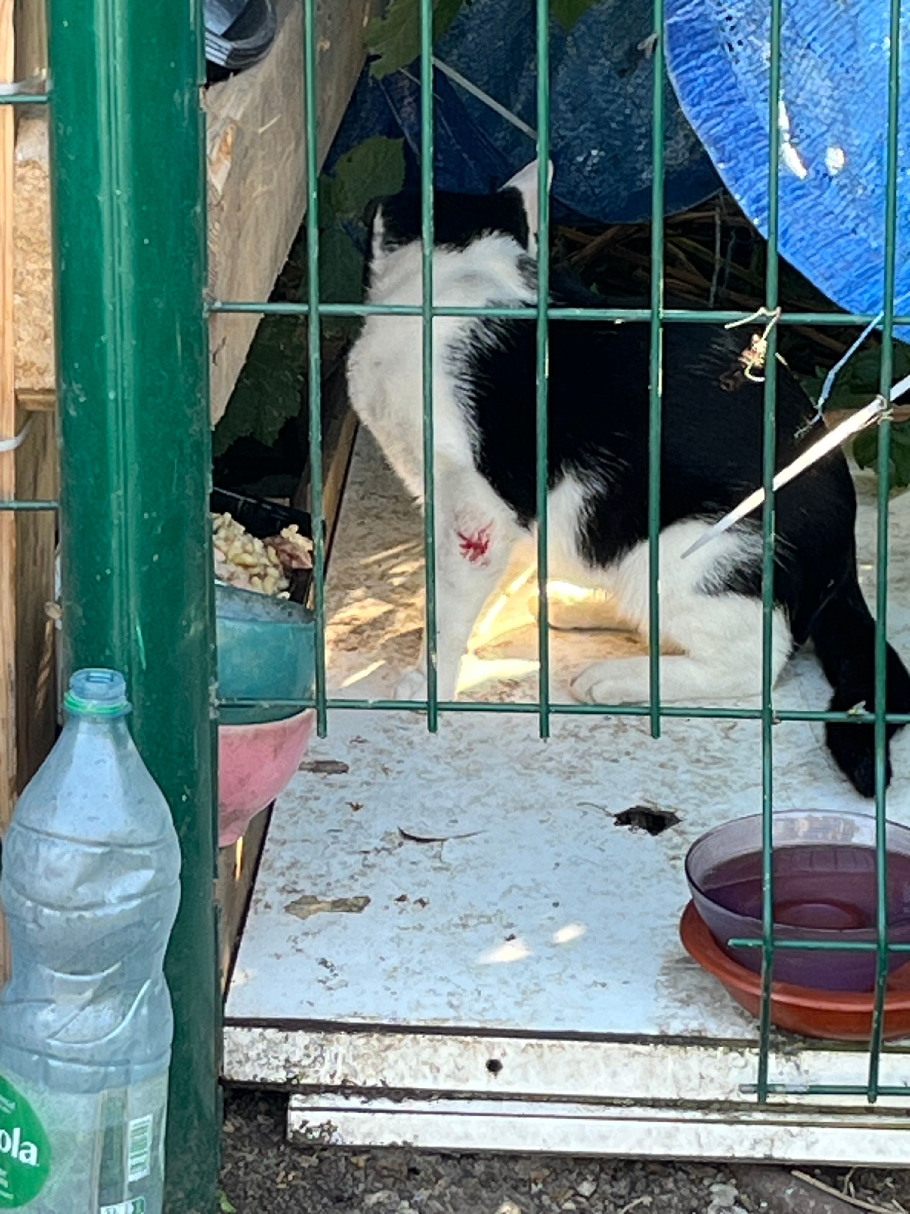 image-10