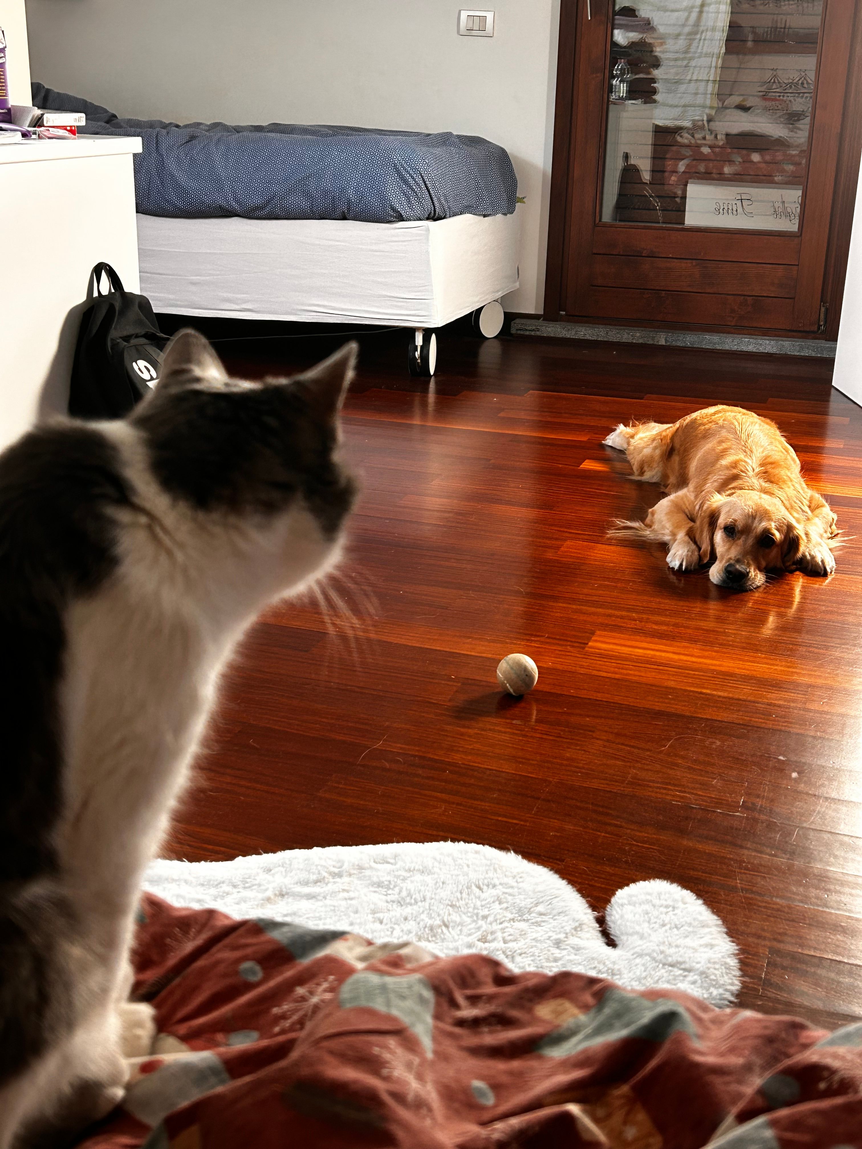 image-12