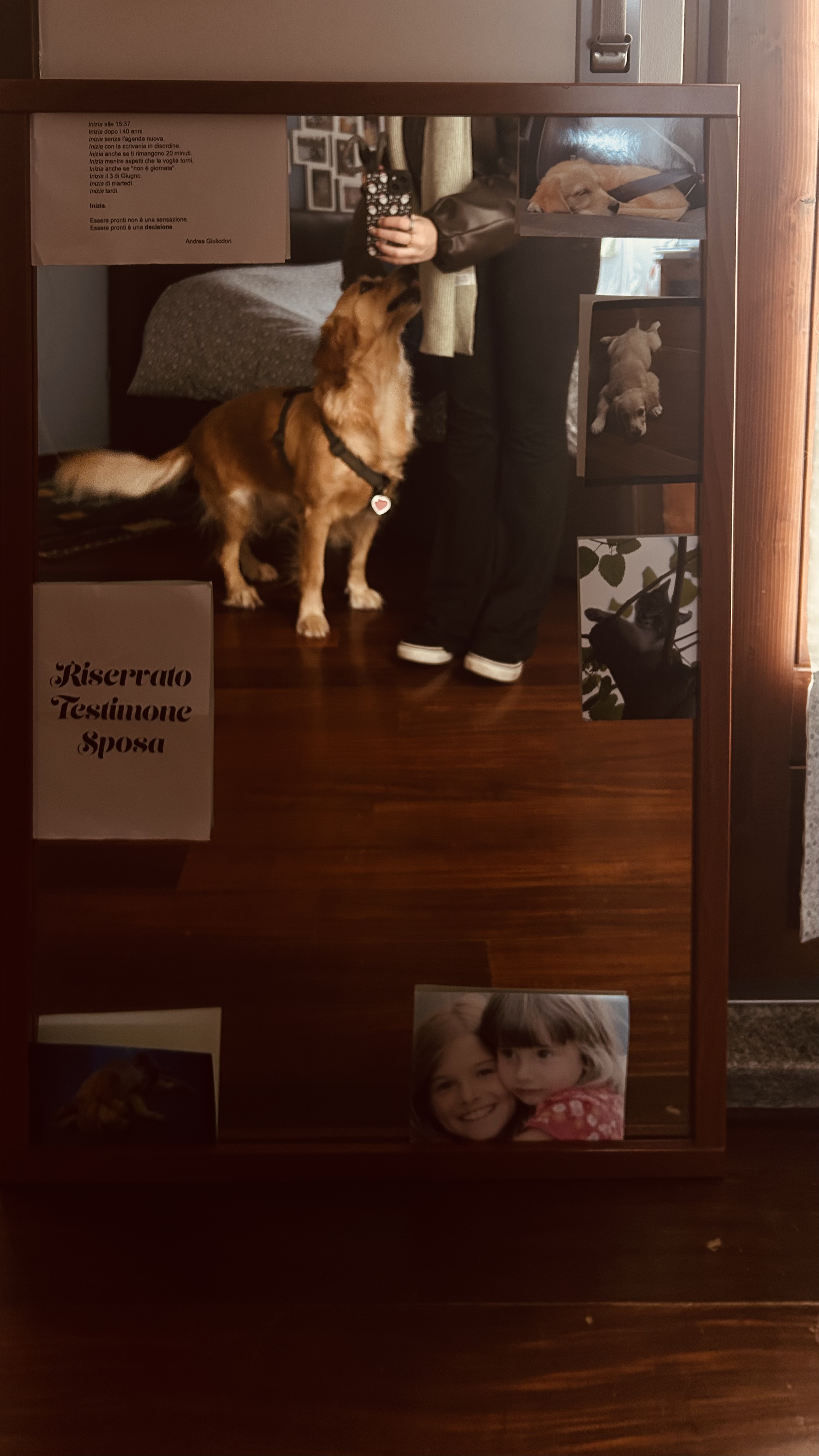 image-17