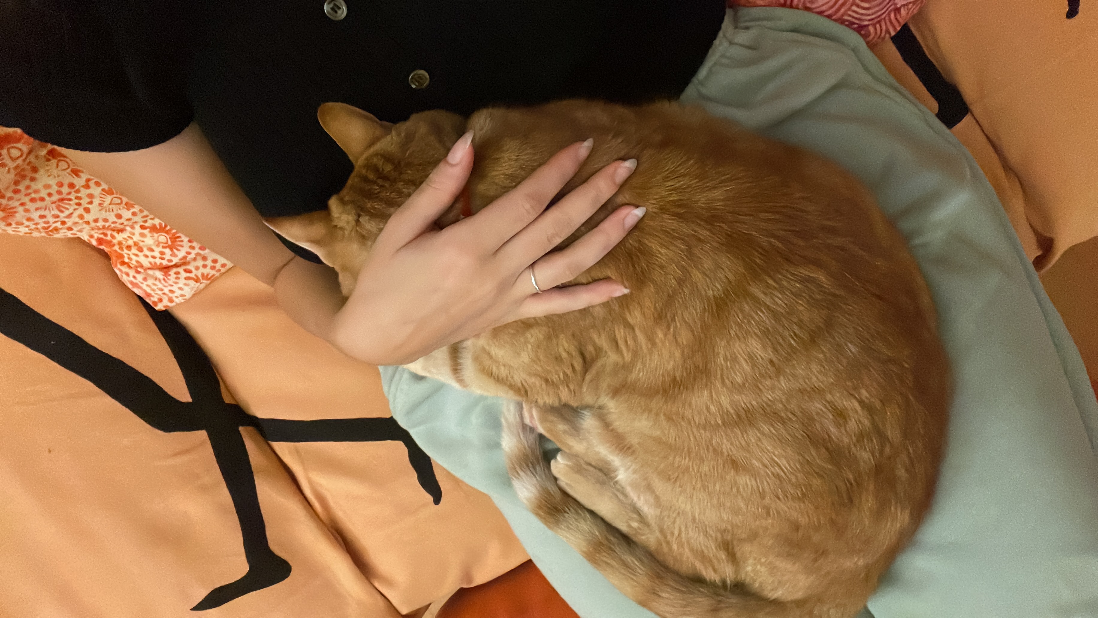 image-9
