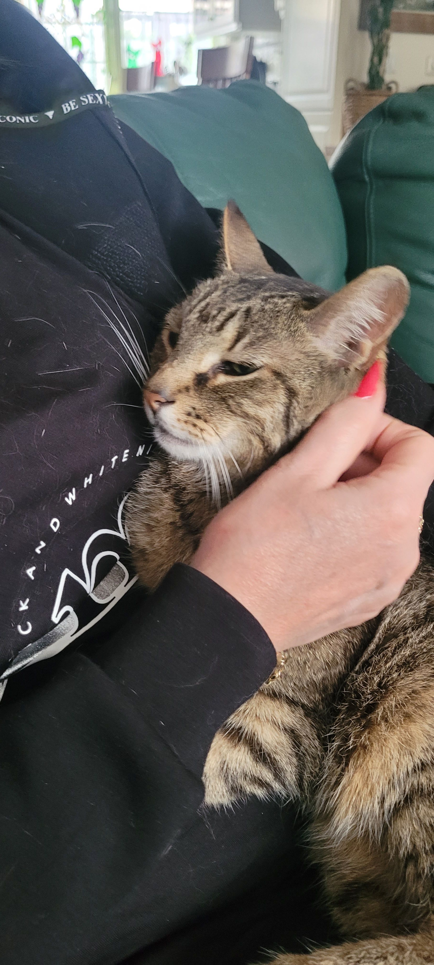 image-1