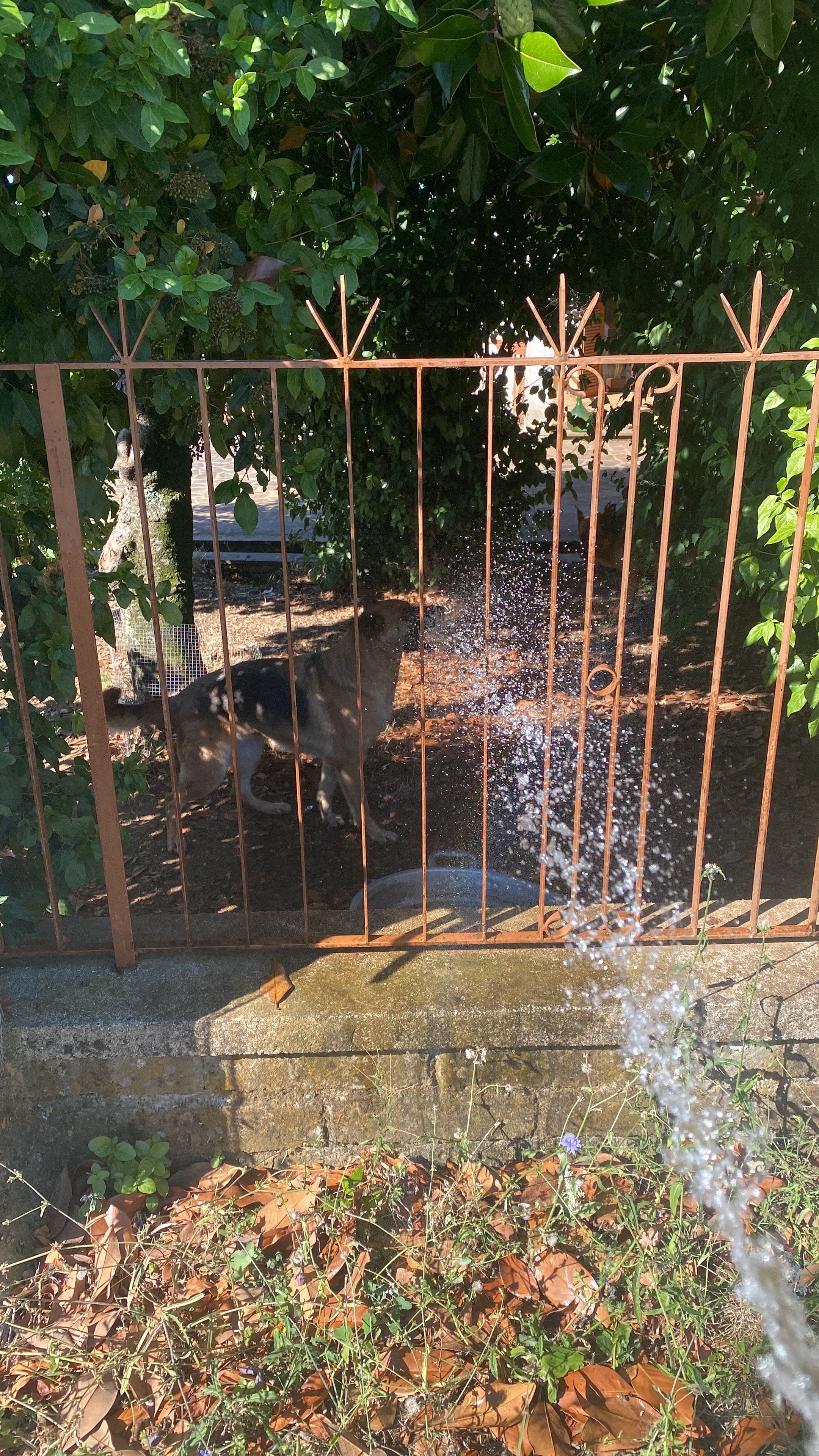 image-9