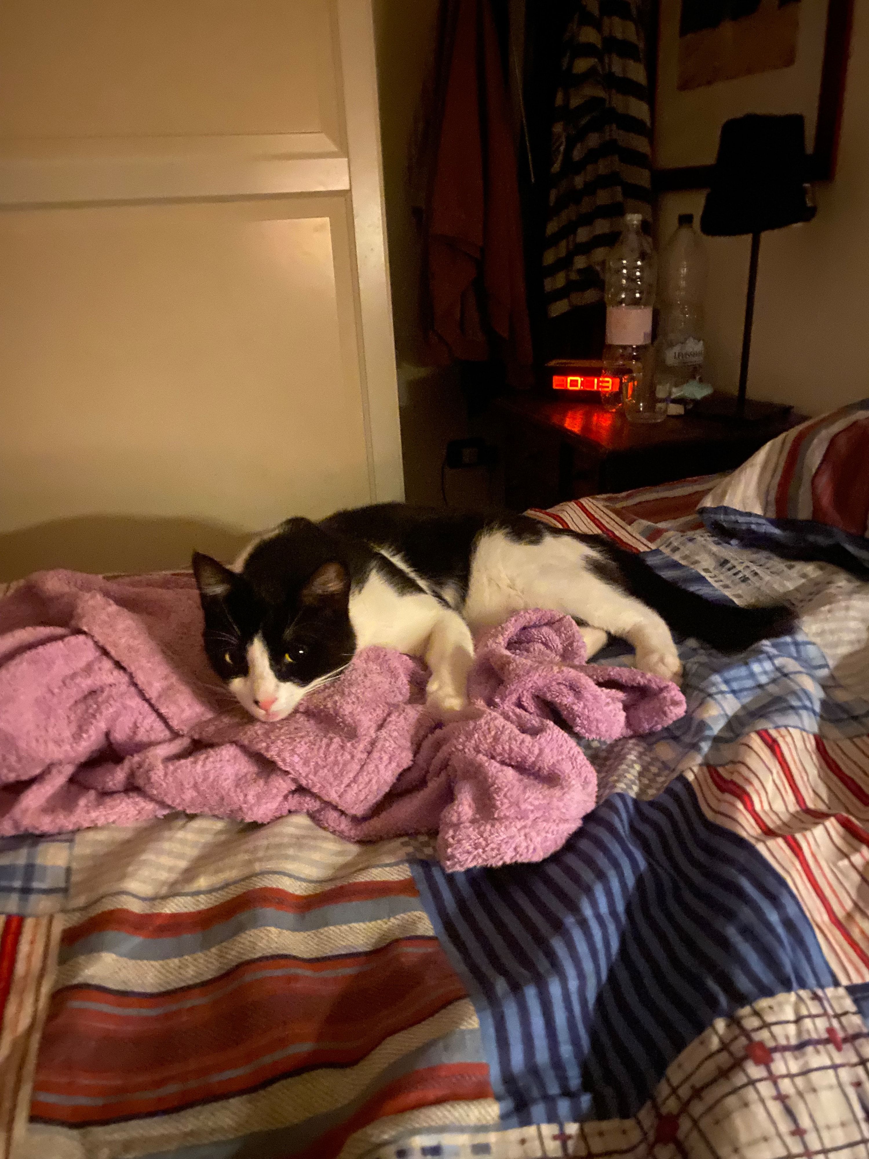 image-6
