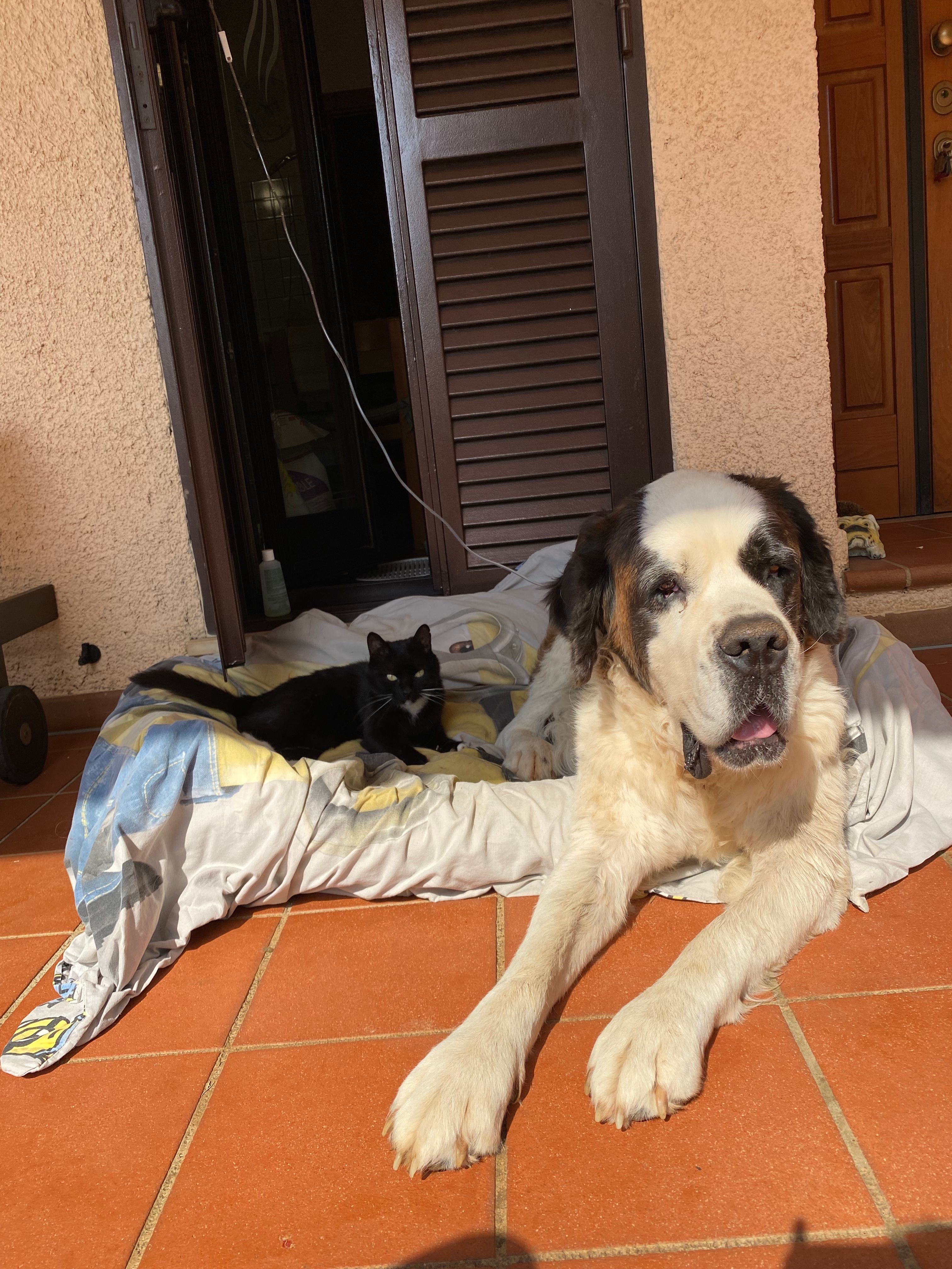 image-14