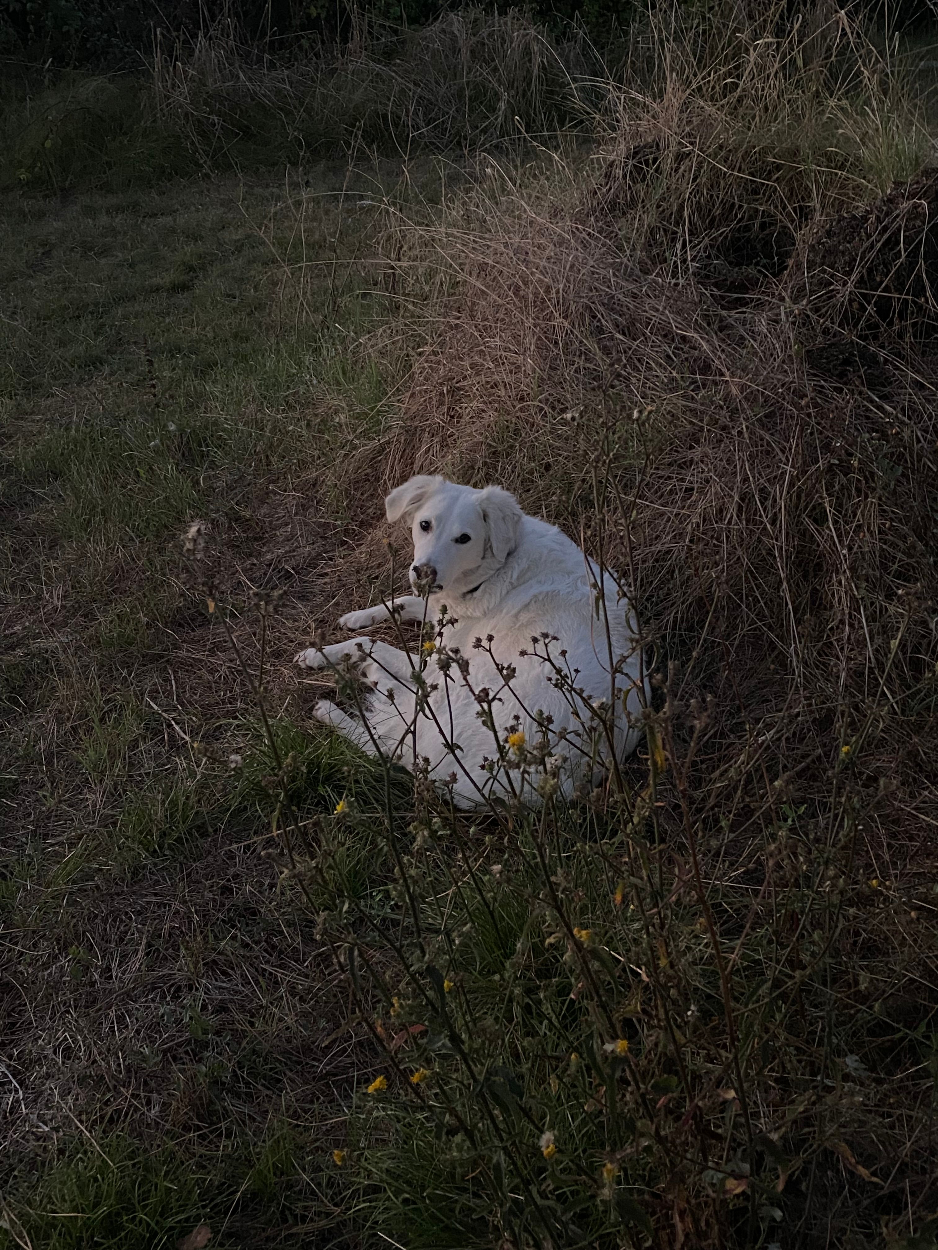 image-16