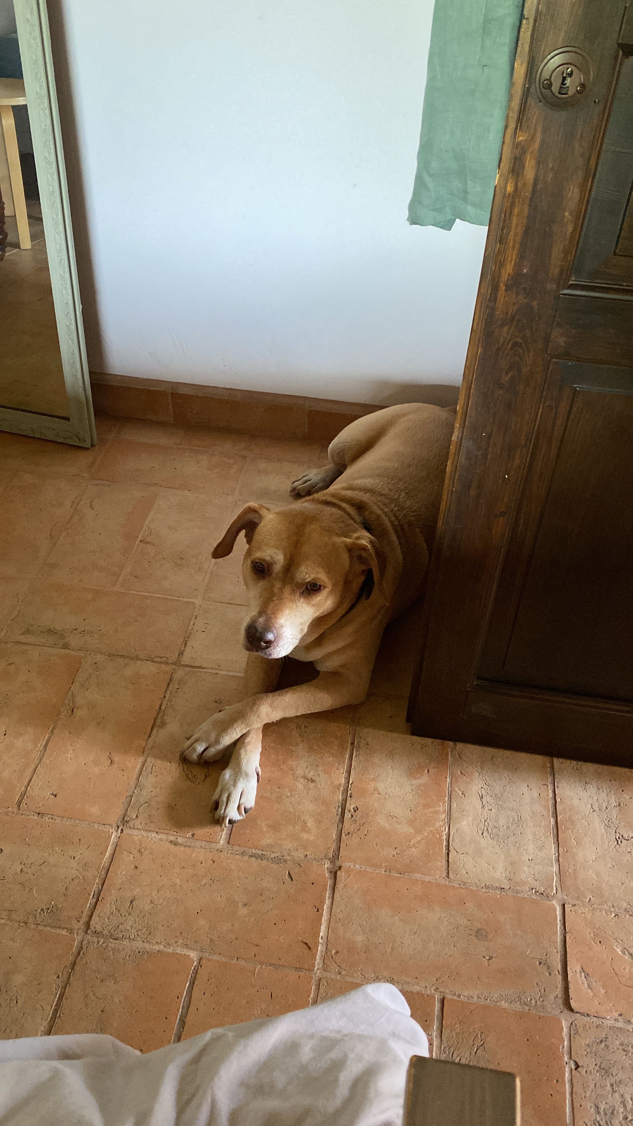 image-19