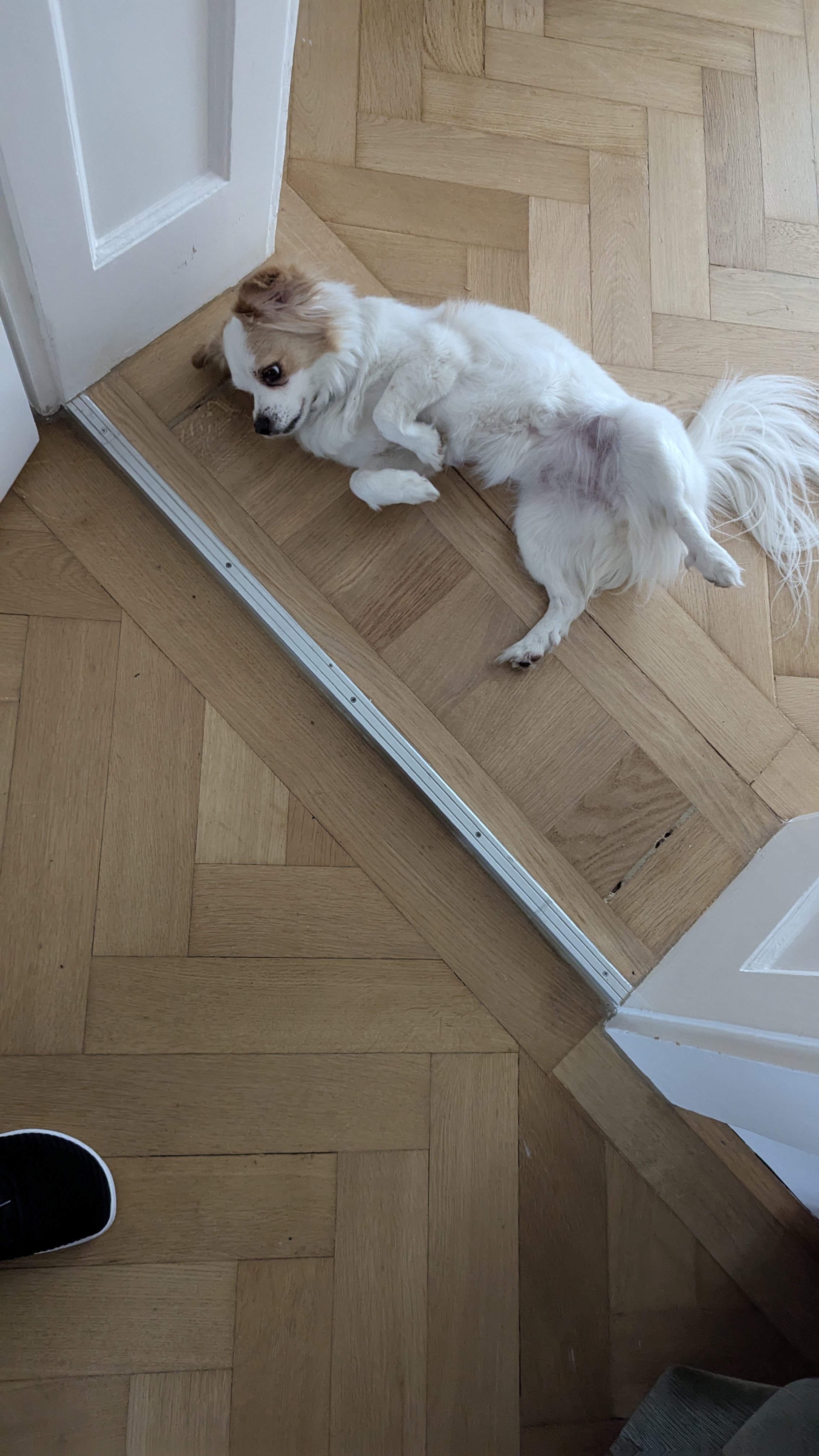 image-11