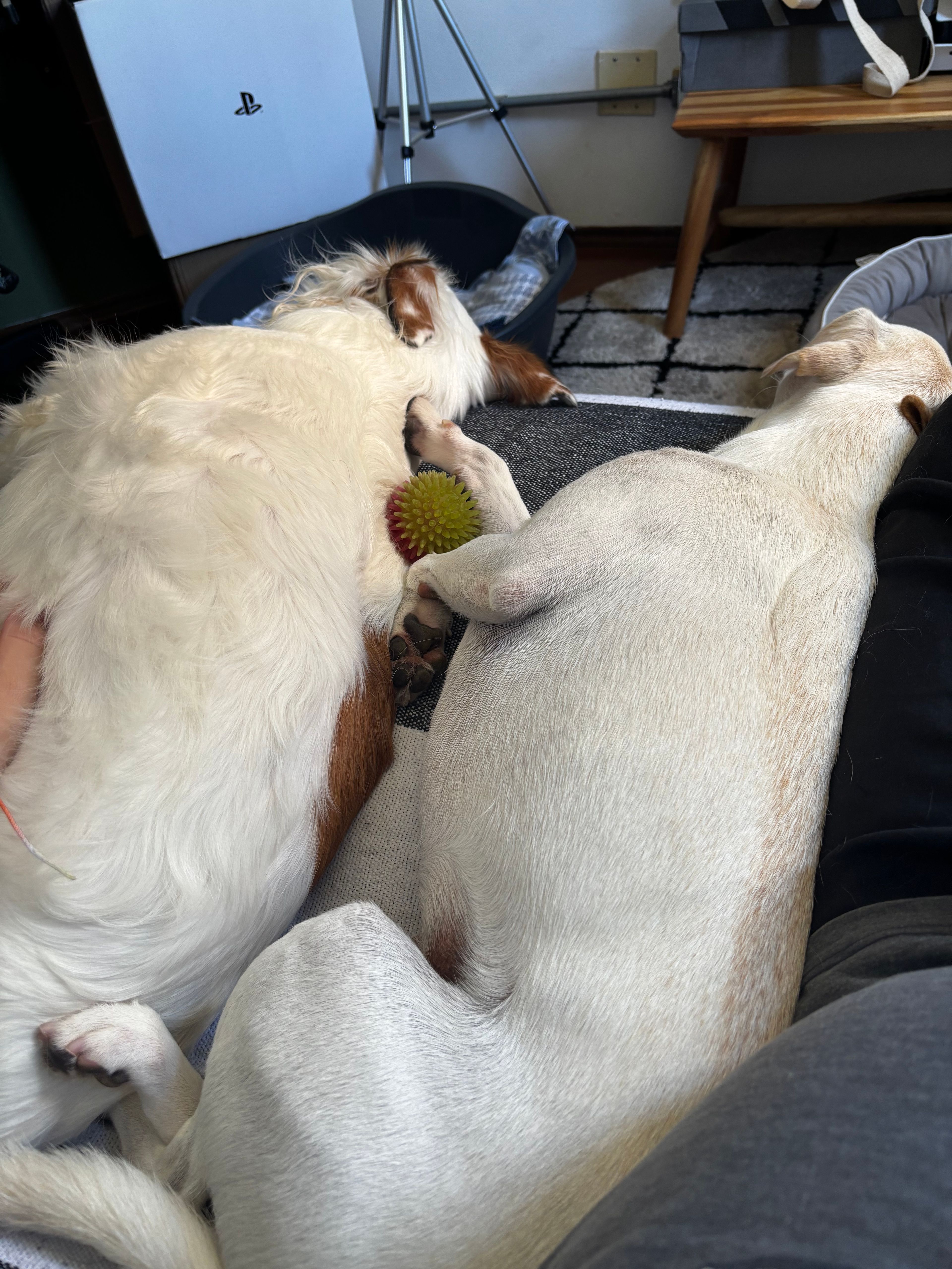 image-9