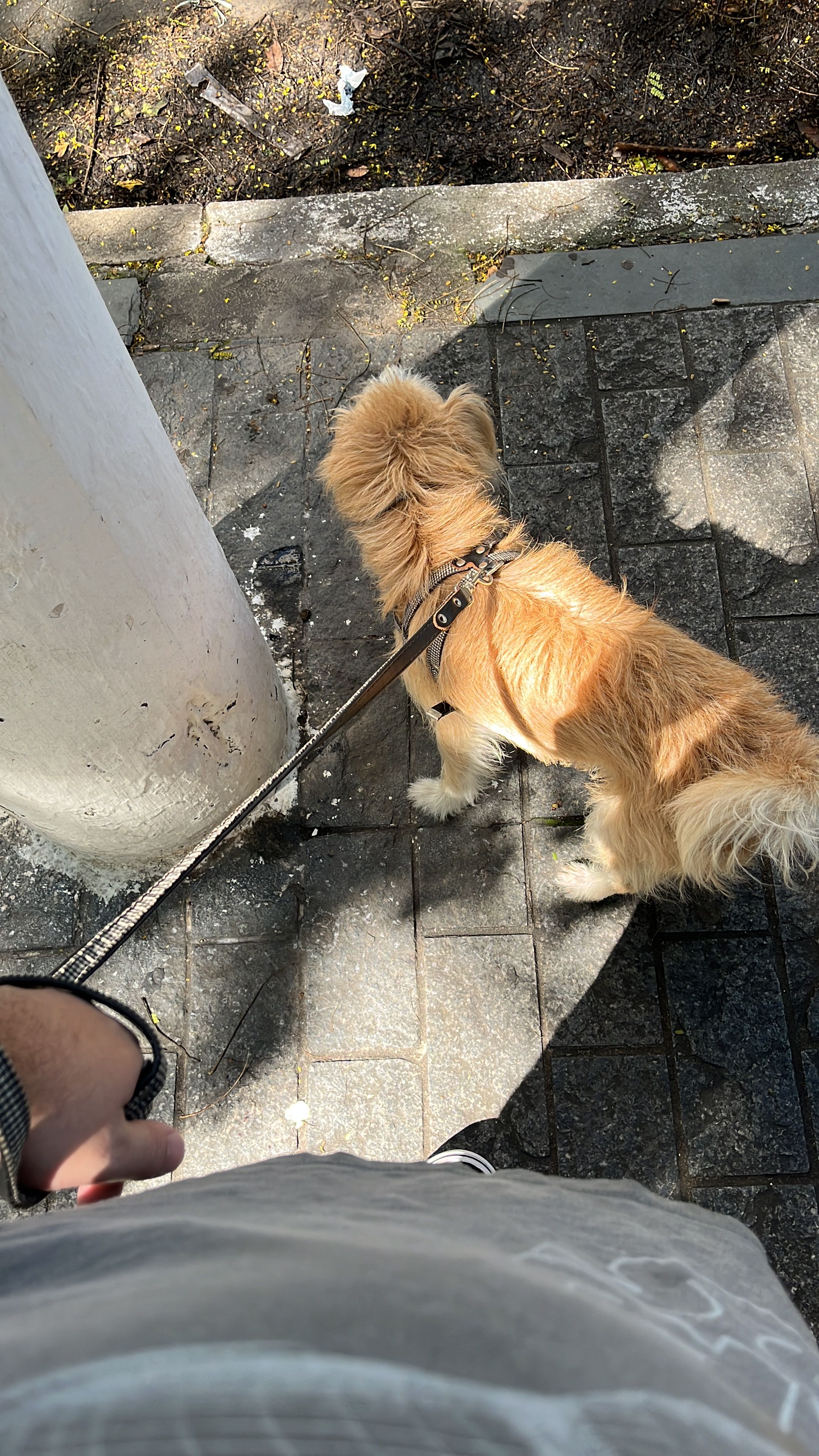 image-12