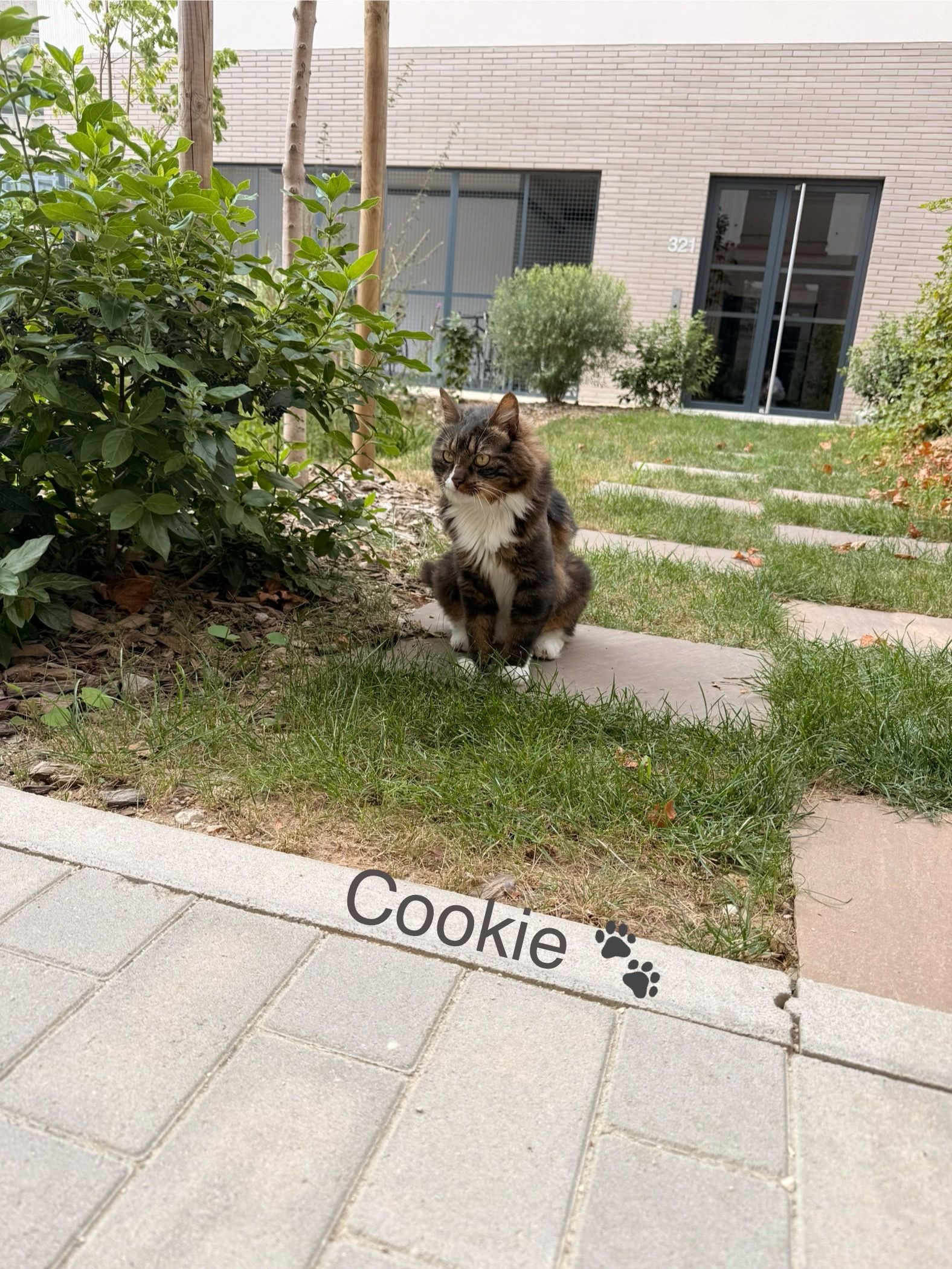 image-5