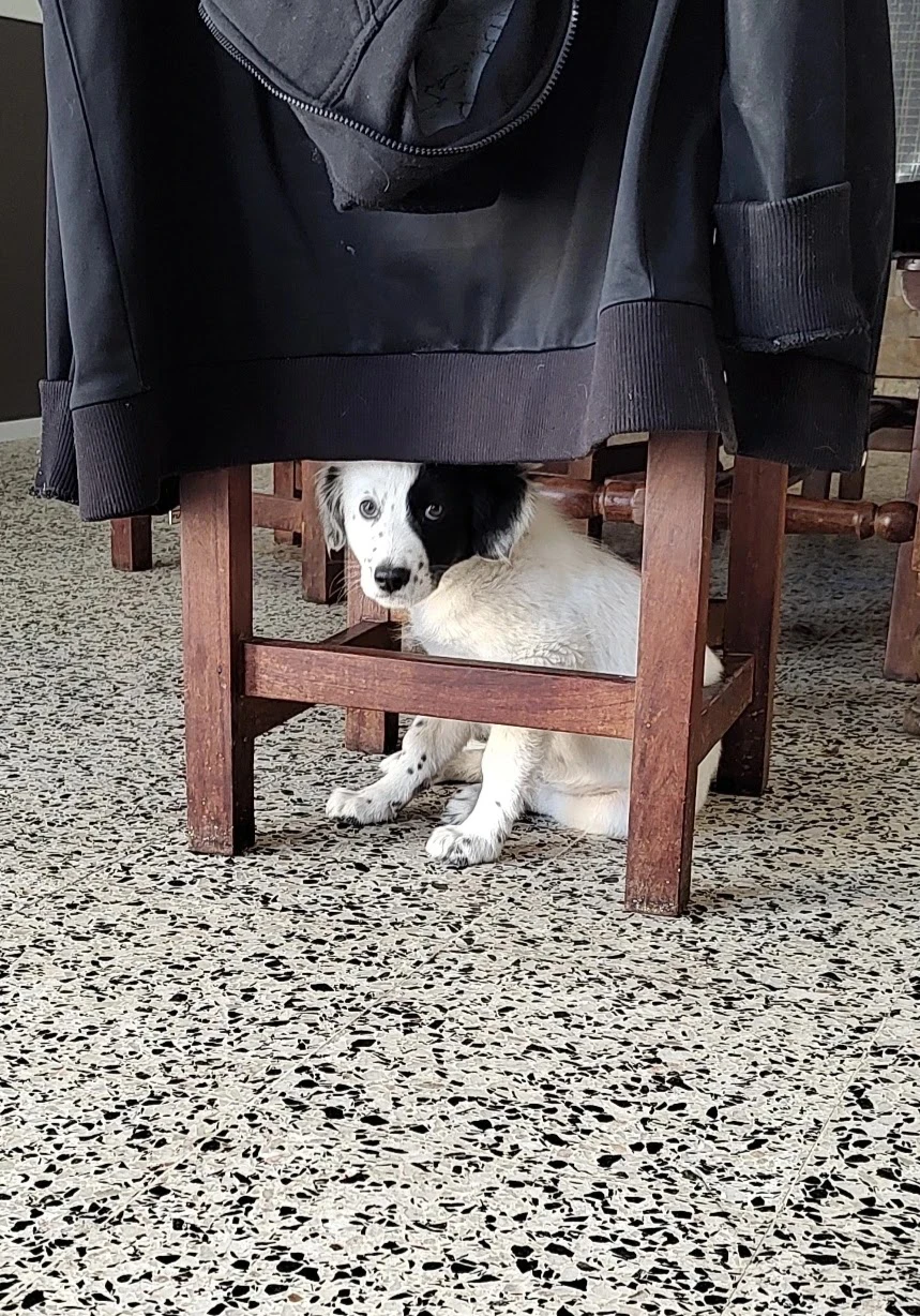 image-10