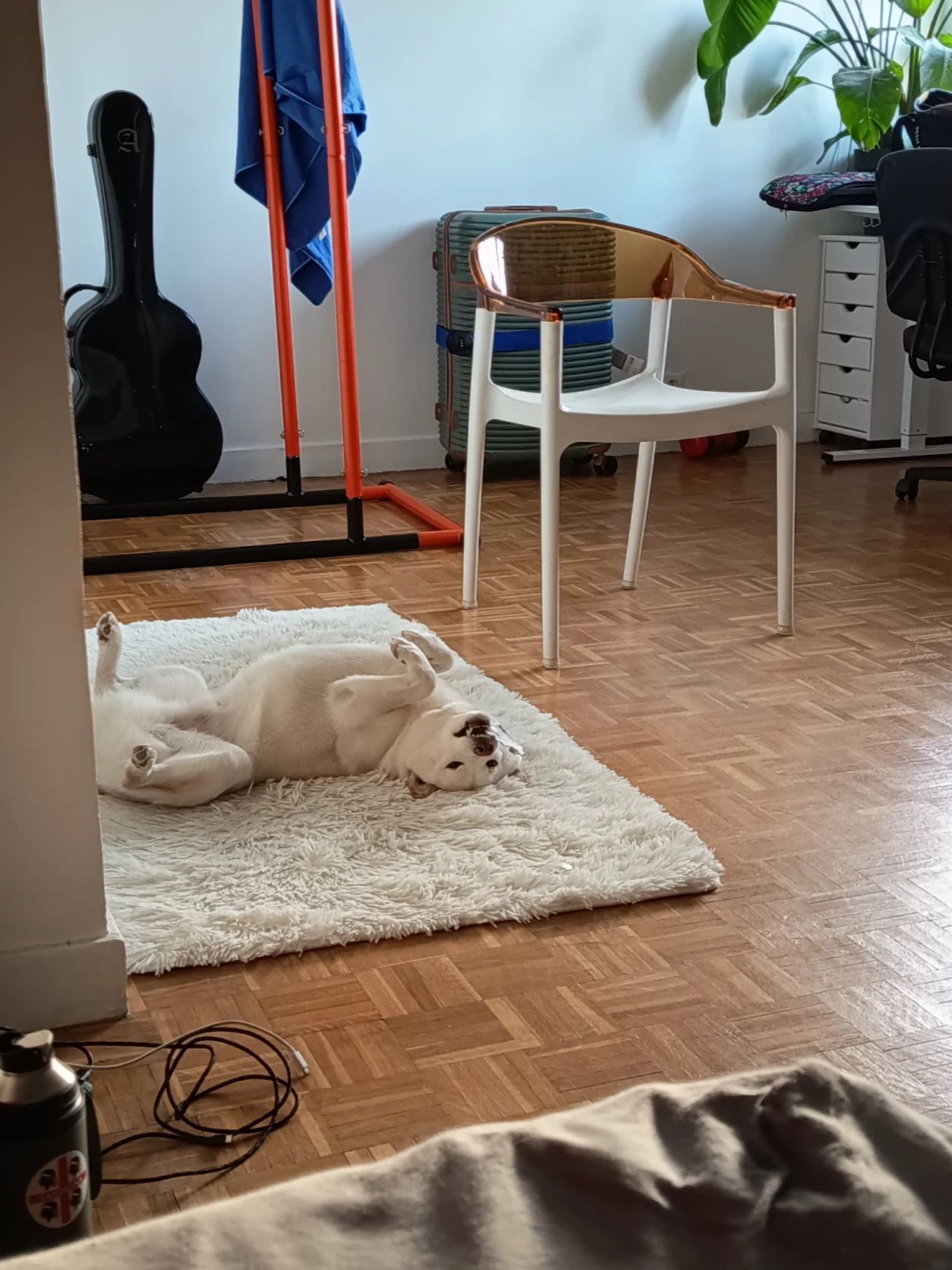 image-6