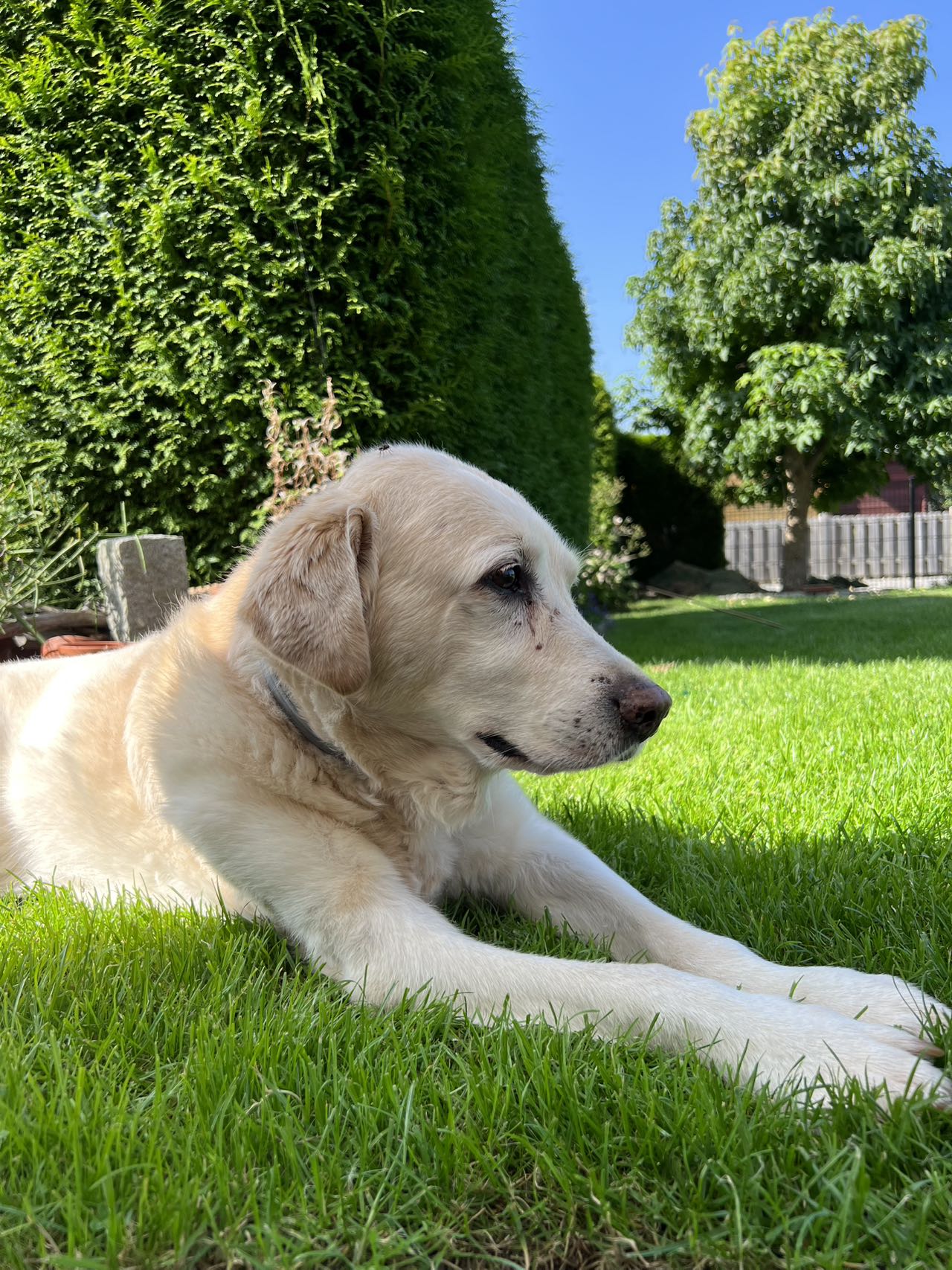 image-5