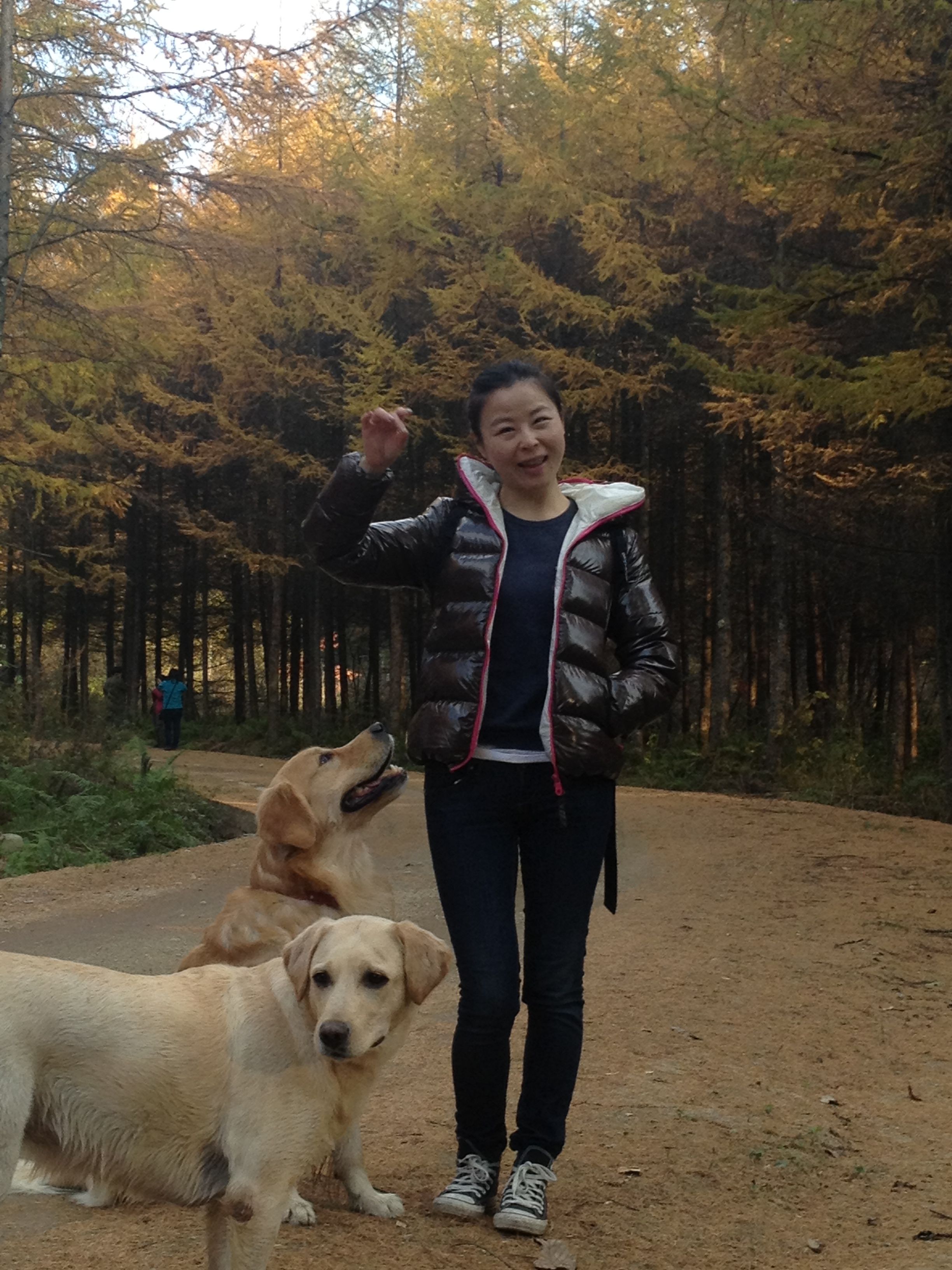 image-2