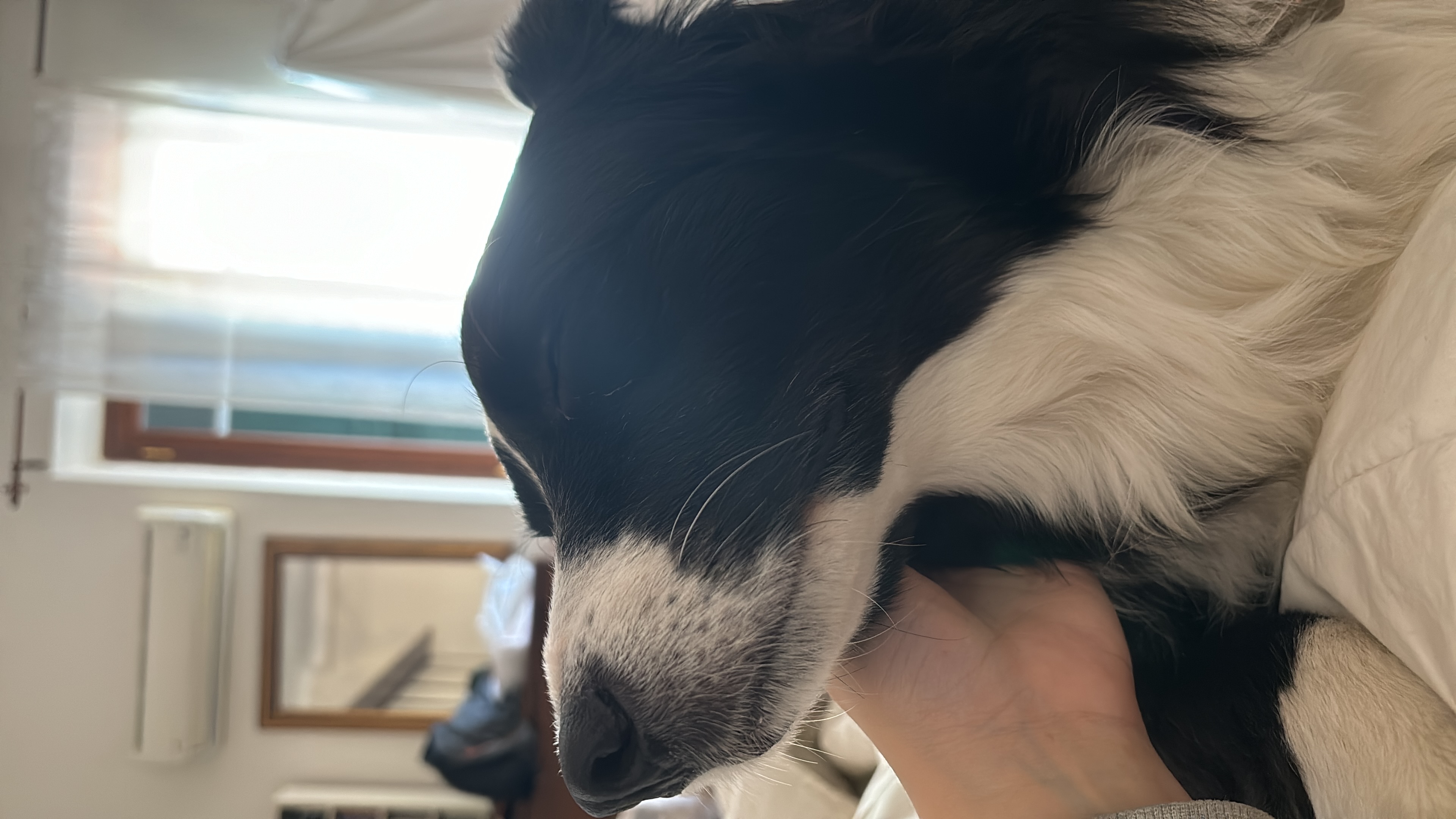 image-6