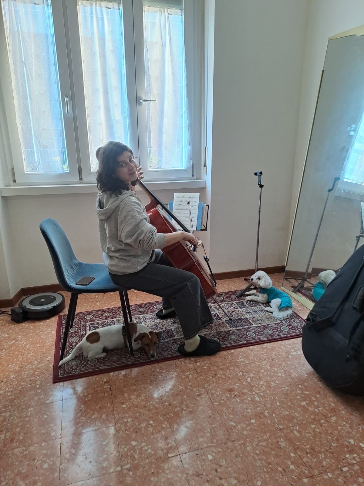 image-13