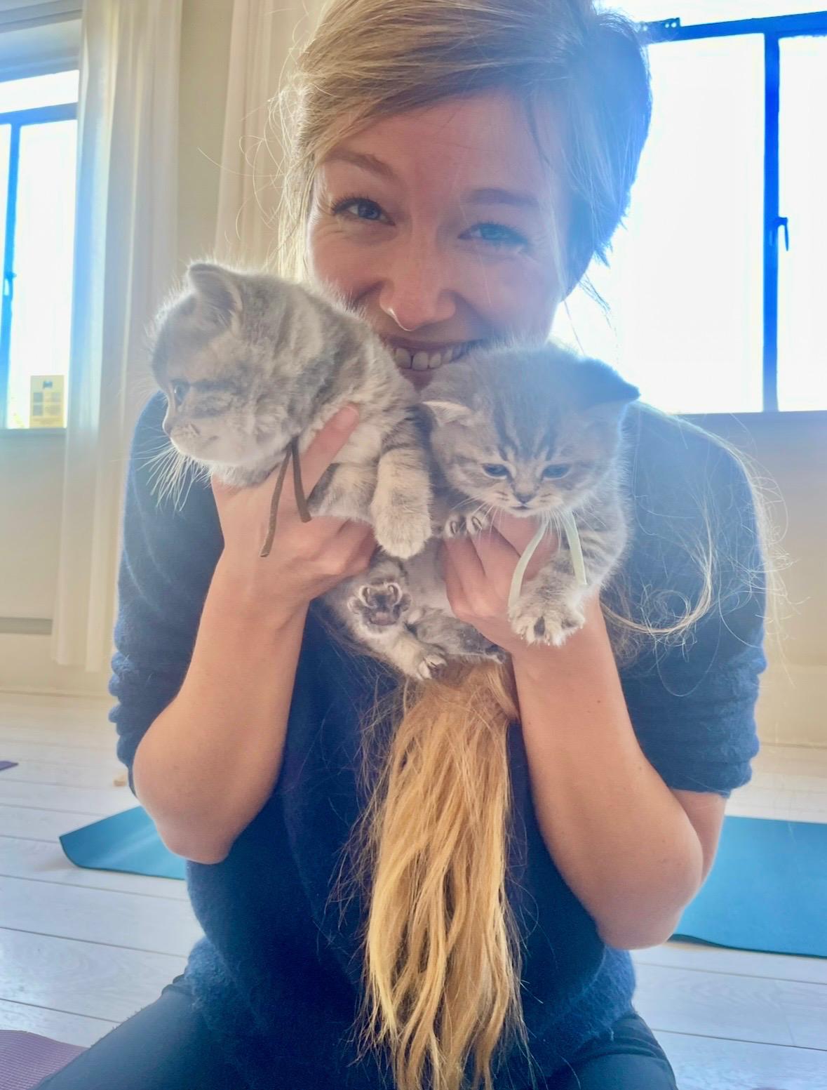image-2