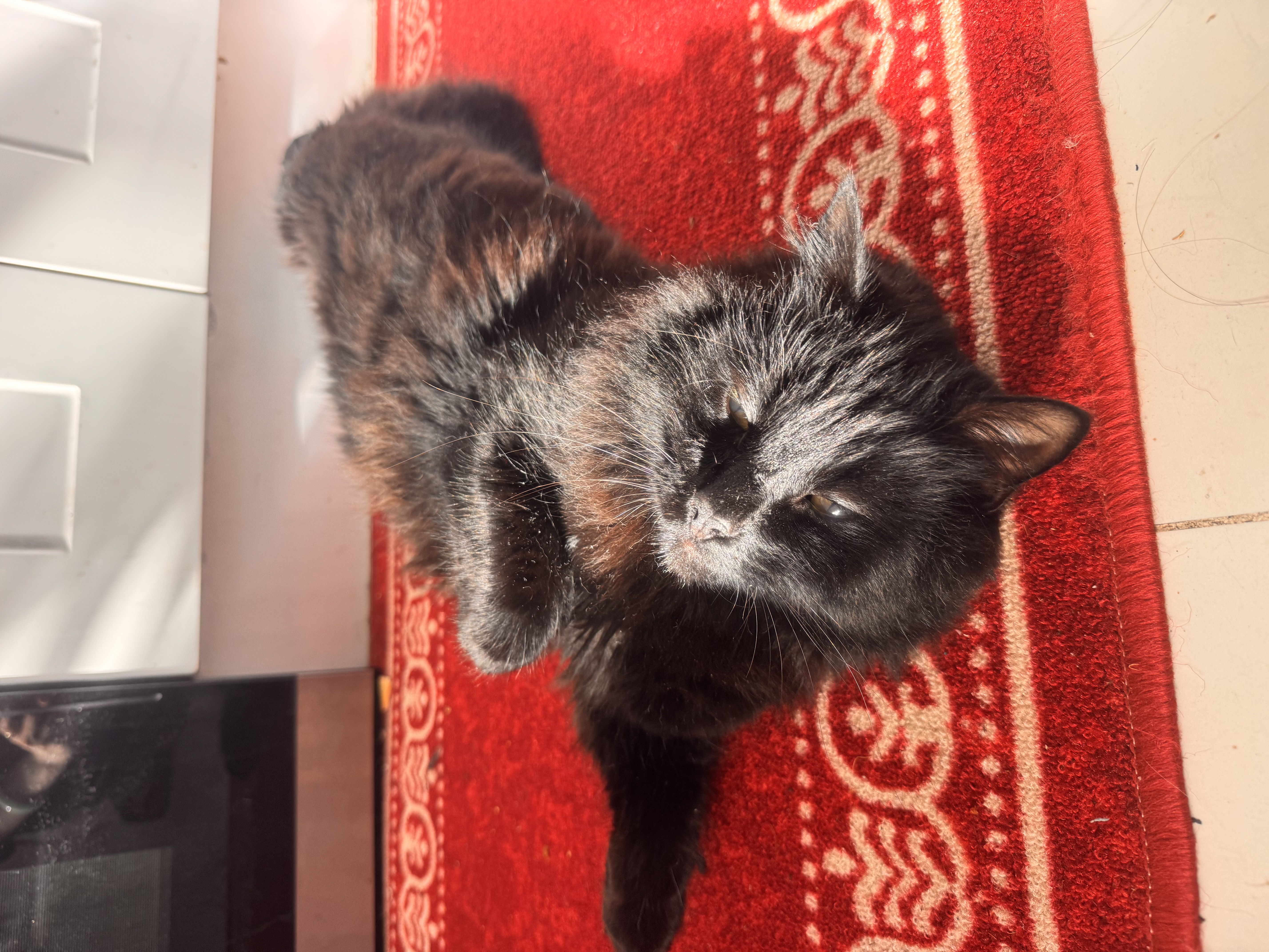 image-8